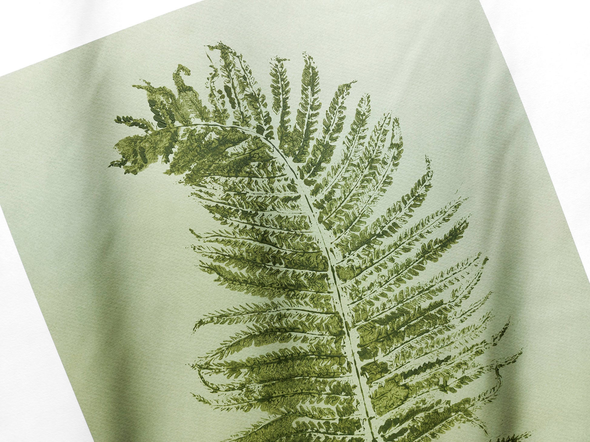 Monotype print Sage green fern textured relief plant texture Foraged wall decor Original printmaking artwork Nature lover gift One of a kind