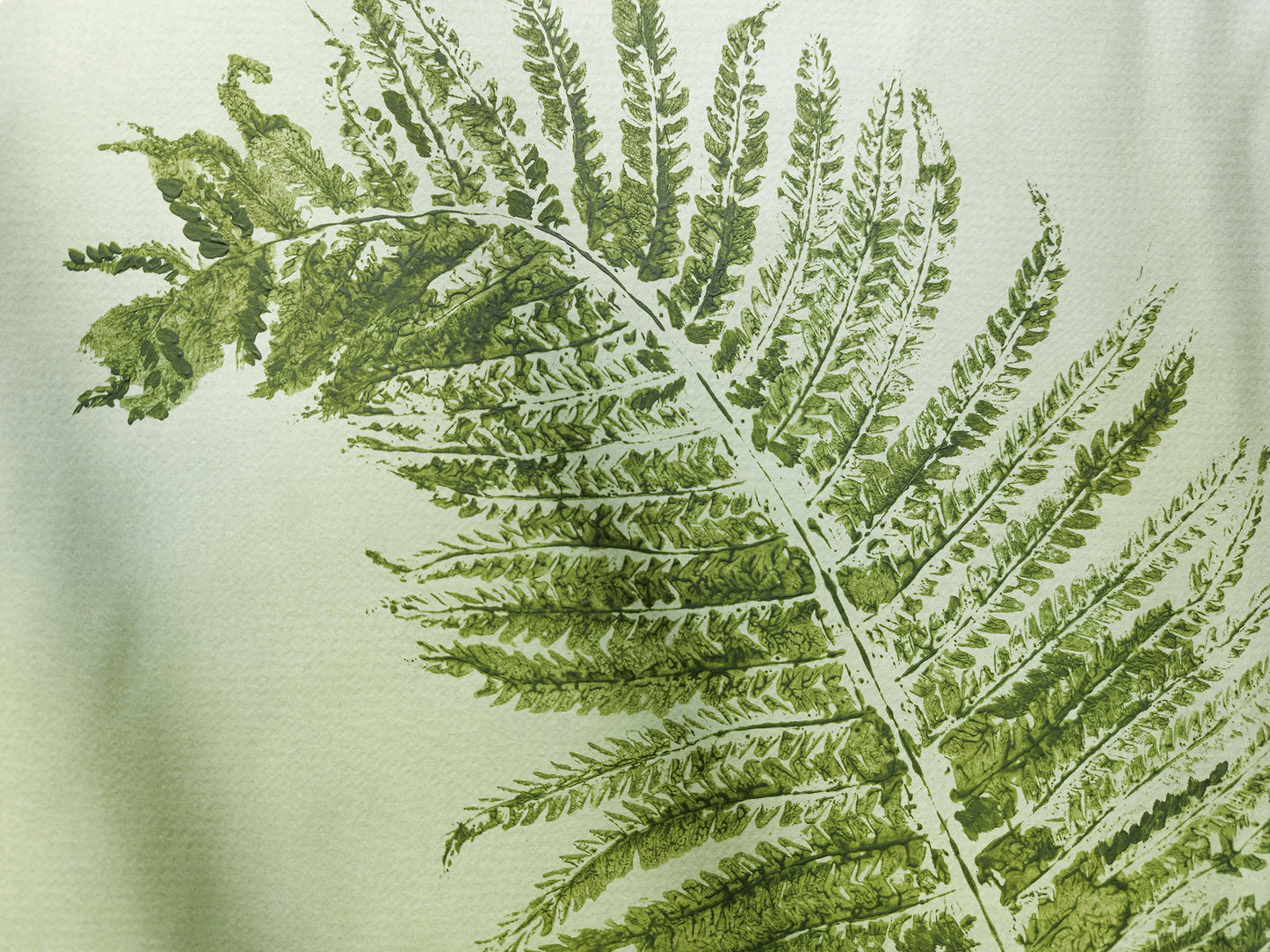 Monotype print Sage green fern textured relief plant texture Foraged wall decor Original printmaking artwork Nature lover gift One of a kind
