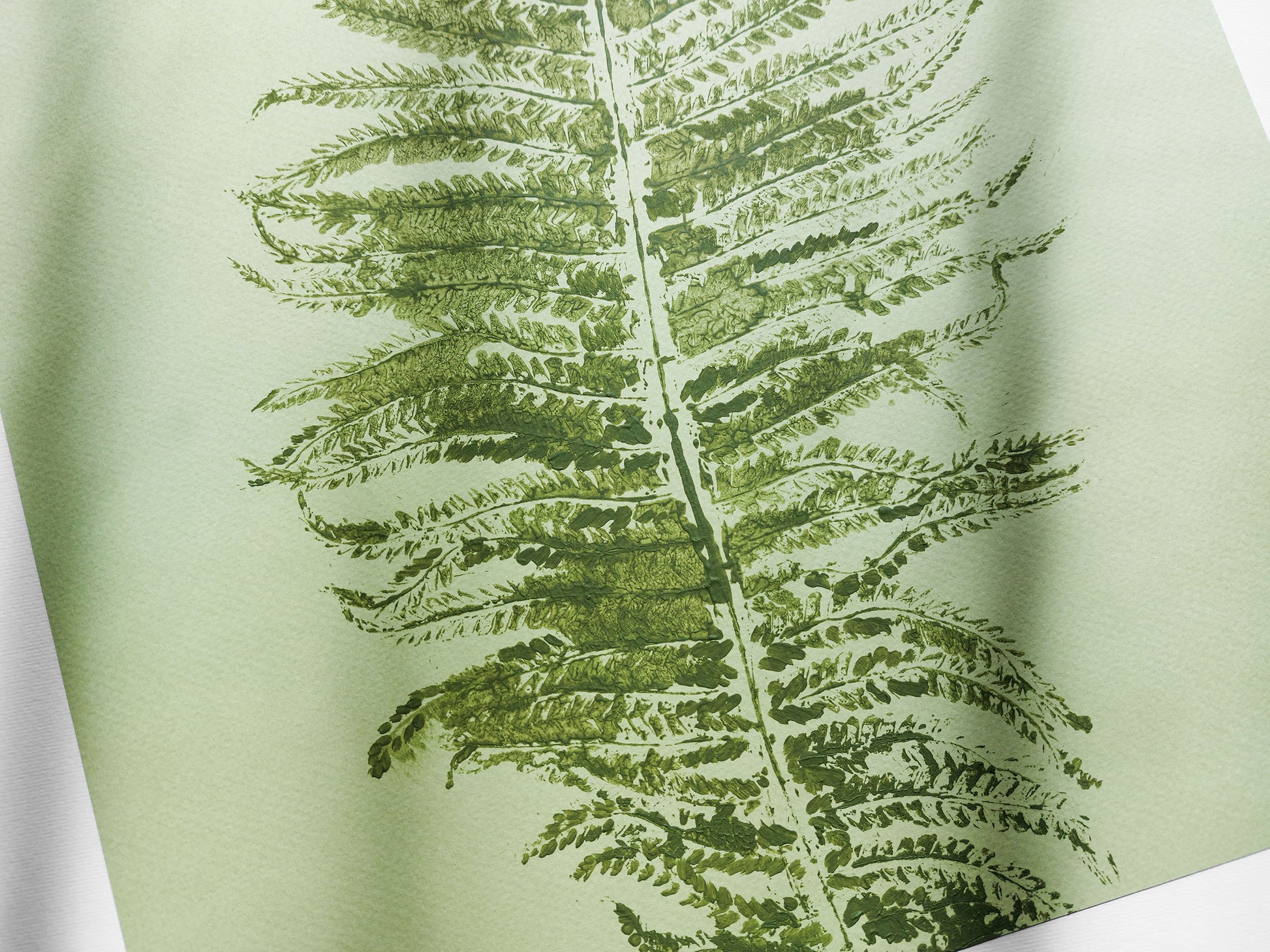 Monotype print Sage green fern textured relief plant texture Foraged wall decor Original printmaking artwork Nature lover gift One of a kind