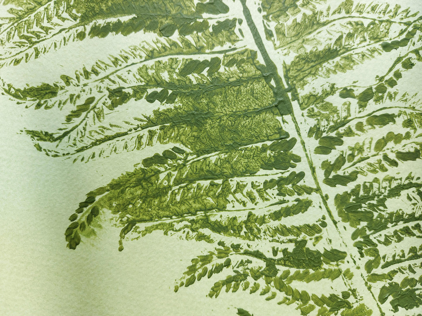Monotype print Sage green fern textured relief plant texture Foraged wall decor Original printmaking artwork Nature lover gift One of a kind