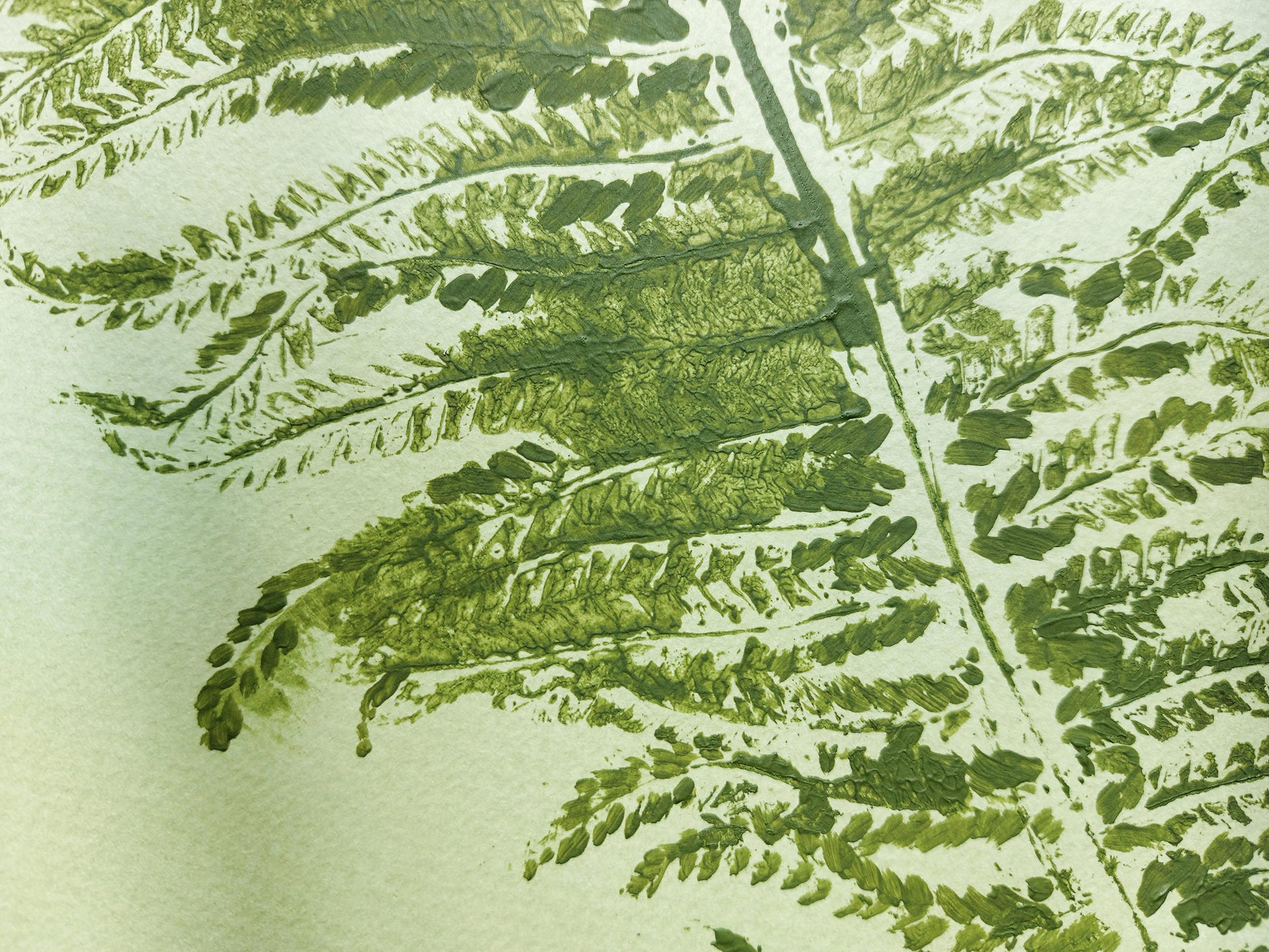 Monotype print Sage green fern textured relief plant texture Foraged wall decor Original printmaking artwork Nature lover gift One of a kind