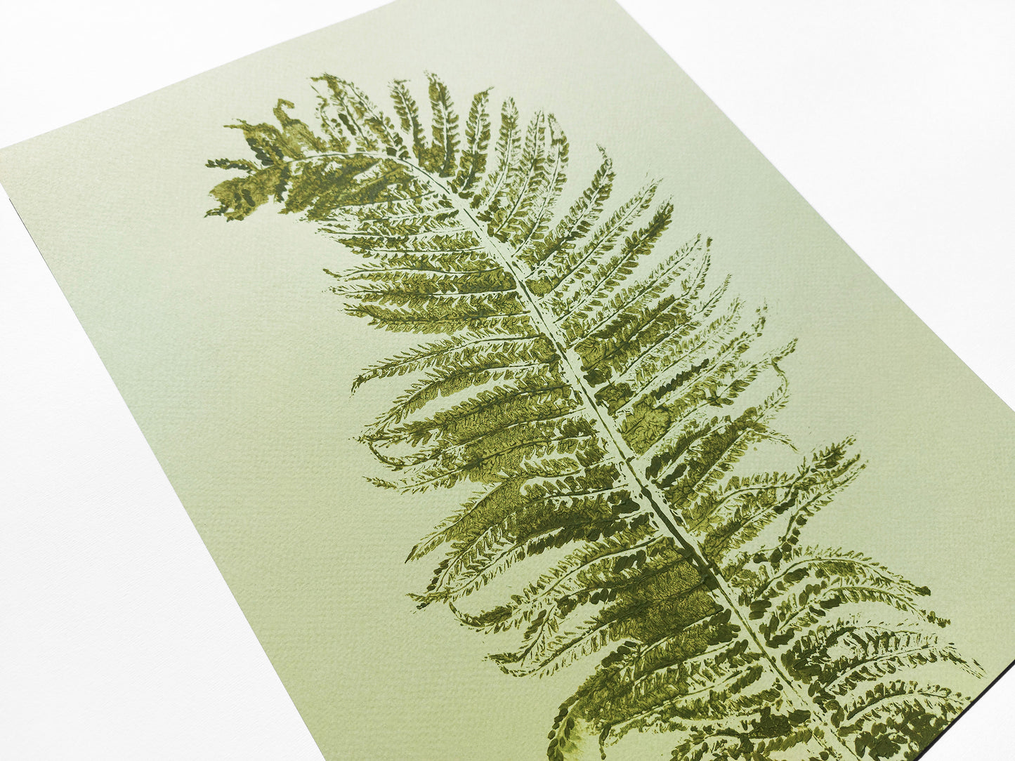 Monotype print Sage green fern textured relief plant texture Foraged wall decor Original printmaking artwork Nature lover gift One of a kind