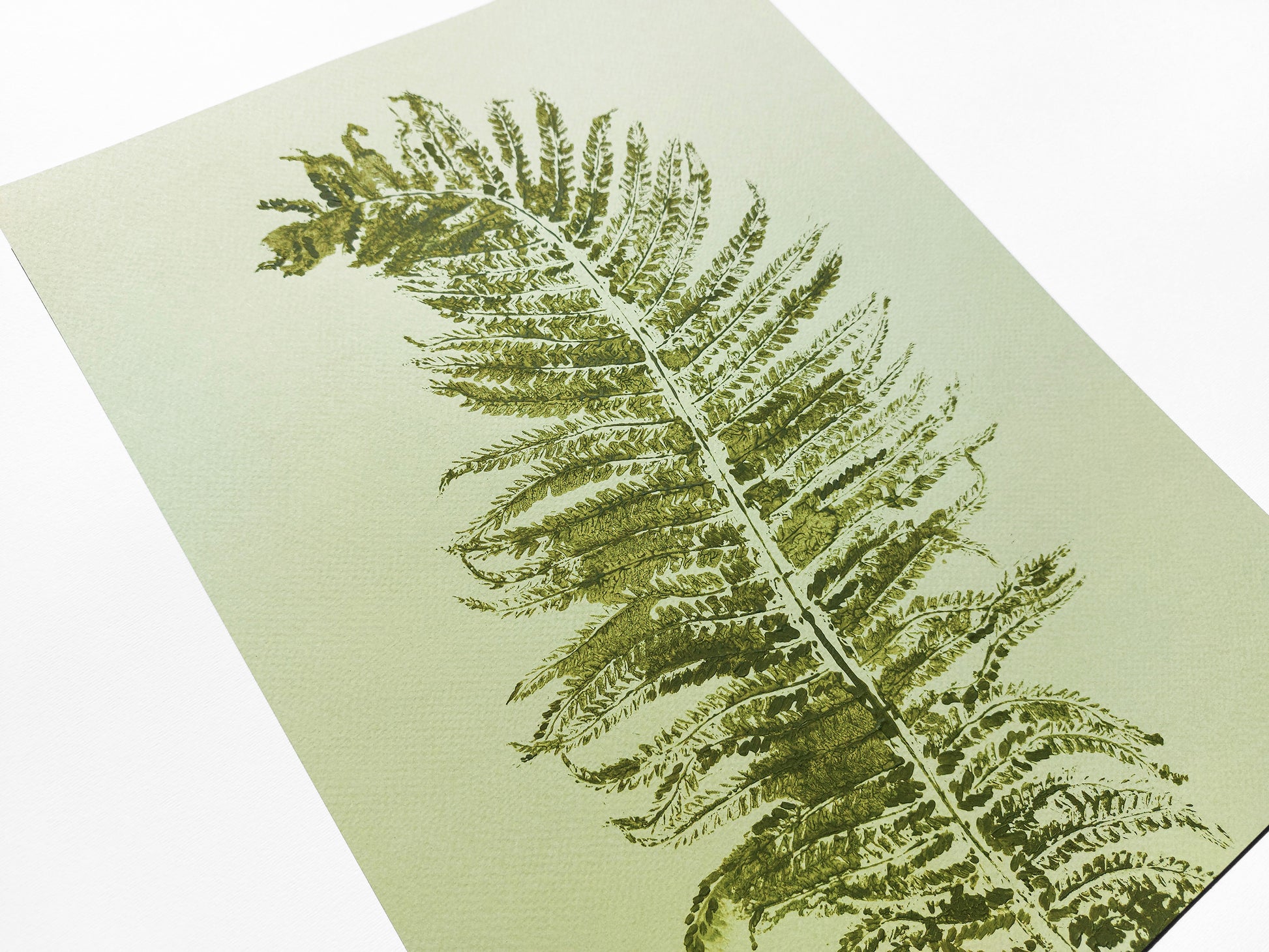 Monotype print Sage green fern textured relief plant texture Foraged wall decor Original printmaking artwork Nature lover gift One of a kind