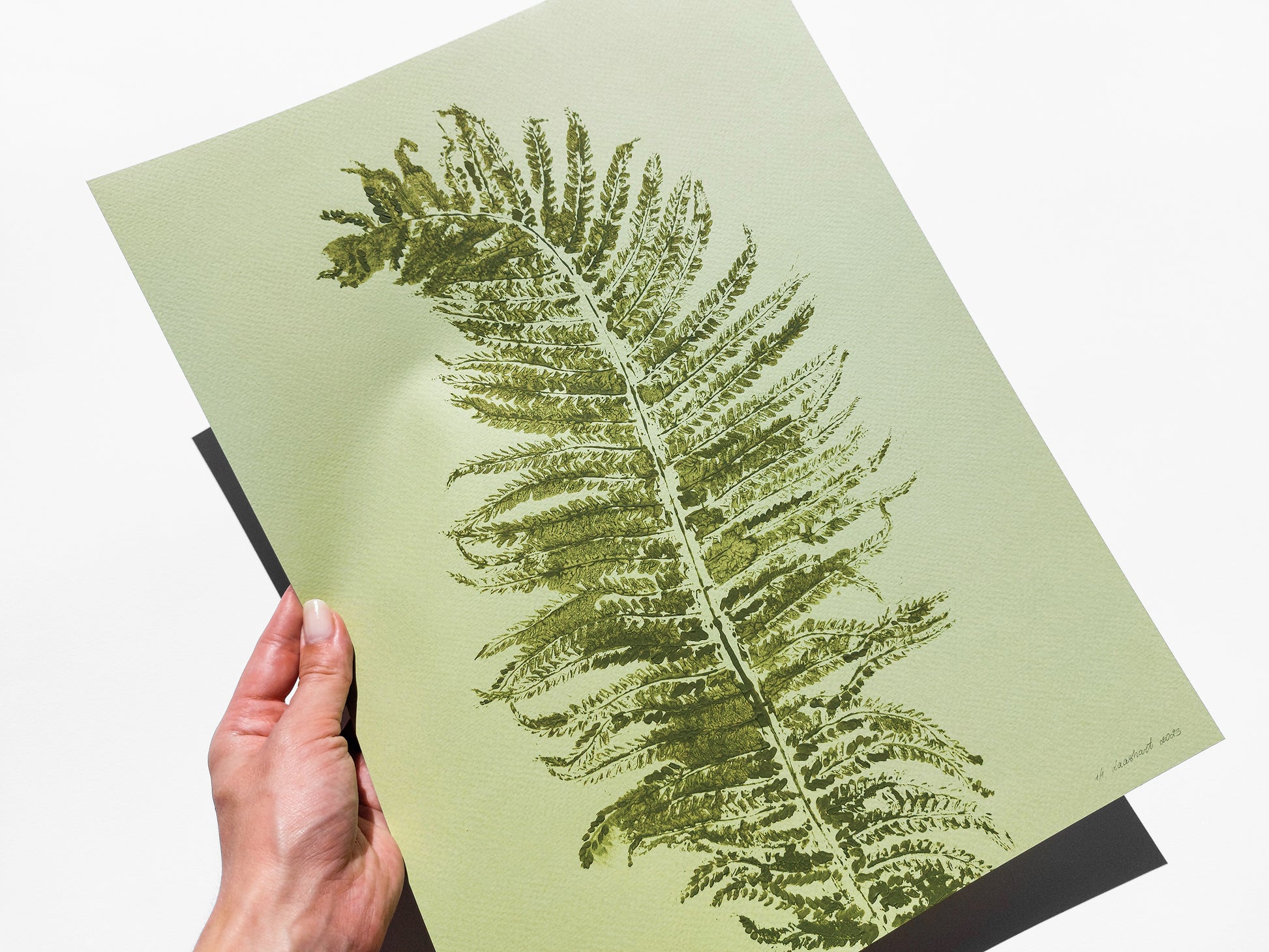 Monotype print Sage green fern textured relief plant texture Foraged wall decor Original printmaking artwork Nature lover gift One of a kind