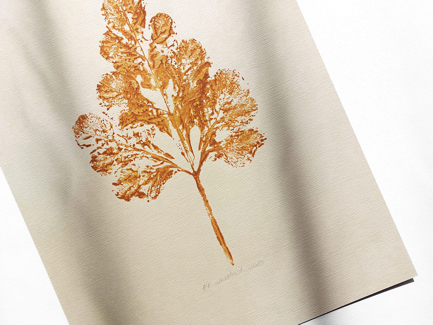 Monotype print	Bedroom wall decor	Living room wall art	Nature lover gift	Yellow ochre relief	abstract leaf Plant	Textured printmaking	Original artwork	painting farmhouse	One of a kind	cottagecore foraged	minimalist vintage	New first home block