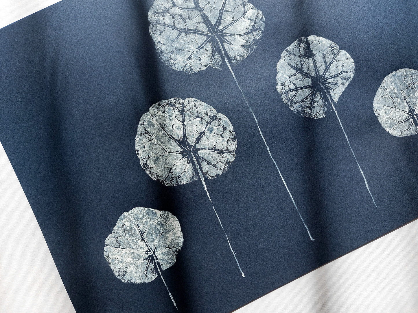 Bedroom wall decor Living room wall art Nature lover gift Original artwork farm printmaking One of a kind Plant monotype print Horizontal Dark blue Foraged cottagecore textured botanical minimalist texture house warming gift leaves relief rustic