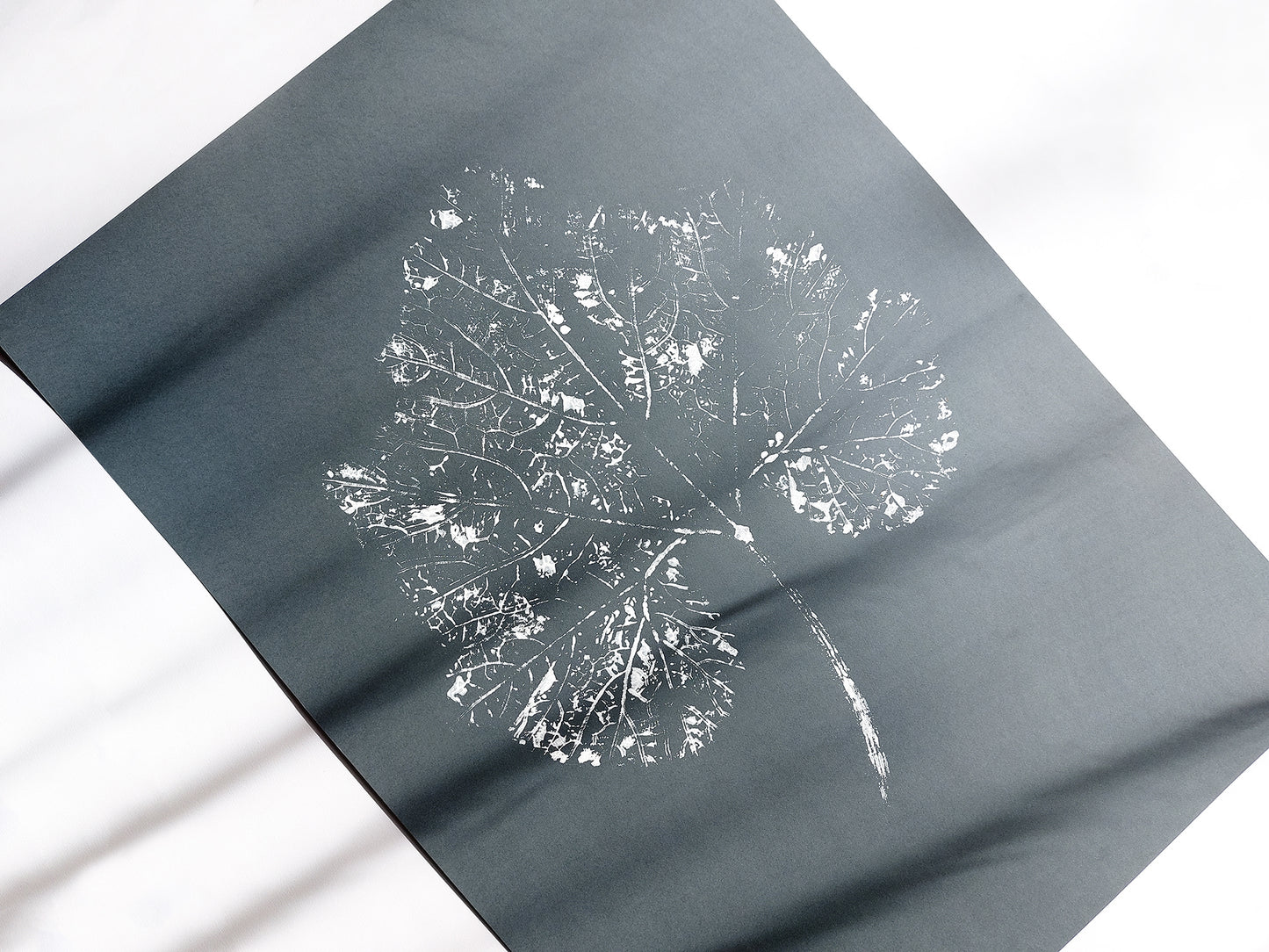 Large Modern Gray
Plant Monotype Print
White Textured Leaf
Original Artwork
Cottagecore Wall Art
Relief Decor
New Home Gift
One of a Kind
Printmaking Art
Housewarming Gift
Farmhouse Kitchen
Living Room Decor
Bedroom Minimalist