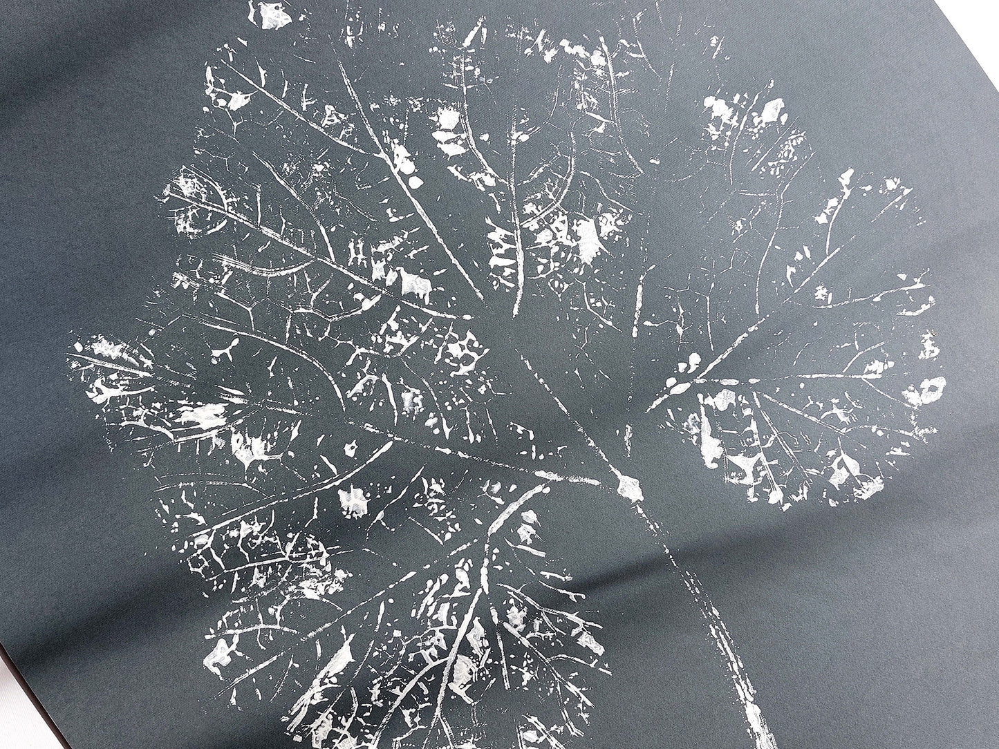 Large Modern Gray
Plant Monotype Print
White Textured Leaf
Original Artwork
Cottagecore Wall Art
Relief Decor
New Home Gift
One of a Kind
Printmaking Art
Housewarming Gift
Farmhouse Kitchen
Living Room Decor
Bedroom Minimalist