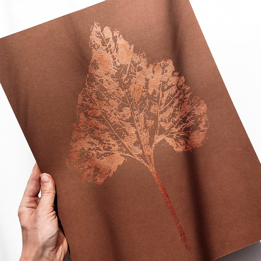 Brown cottagecore wall art autumn bronze leaf monotype print living room bedroom decor minimalist original artwork fall botanical hostess thank you thanksgiving table monoprint godmother gift
relief modern kitchen entryway nature lover thankful gift one of a kind mother grandmother xmas seasonal rustic new home thoughtful farmhouse home office printmaking foraged handprinted farm self sister apartment wife woman handmade dining for Her Thankful Dorm Warm Earth Tones decoration