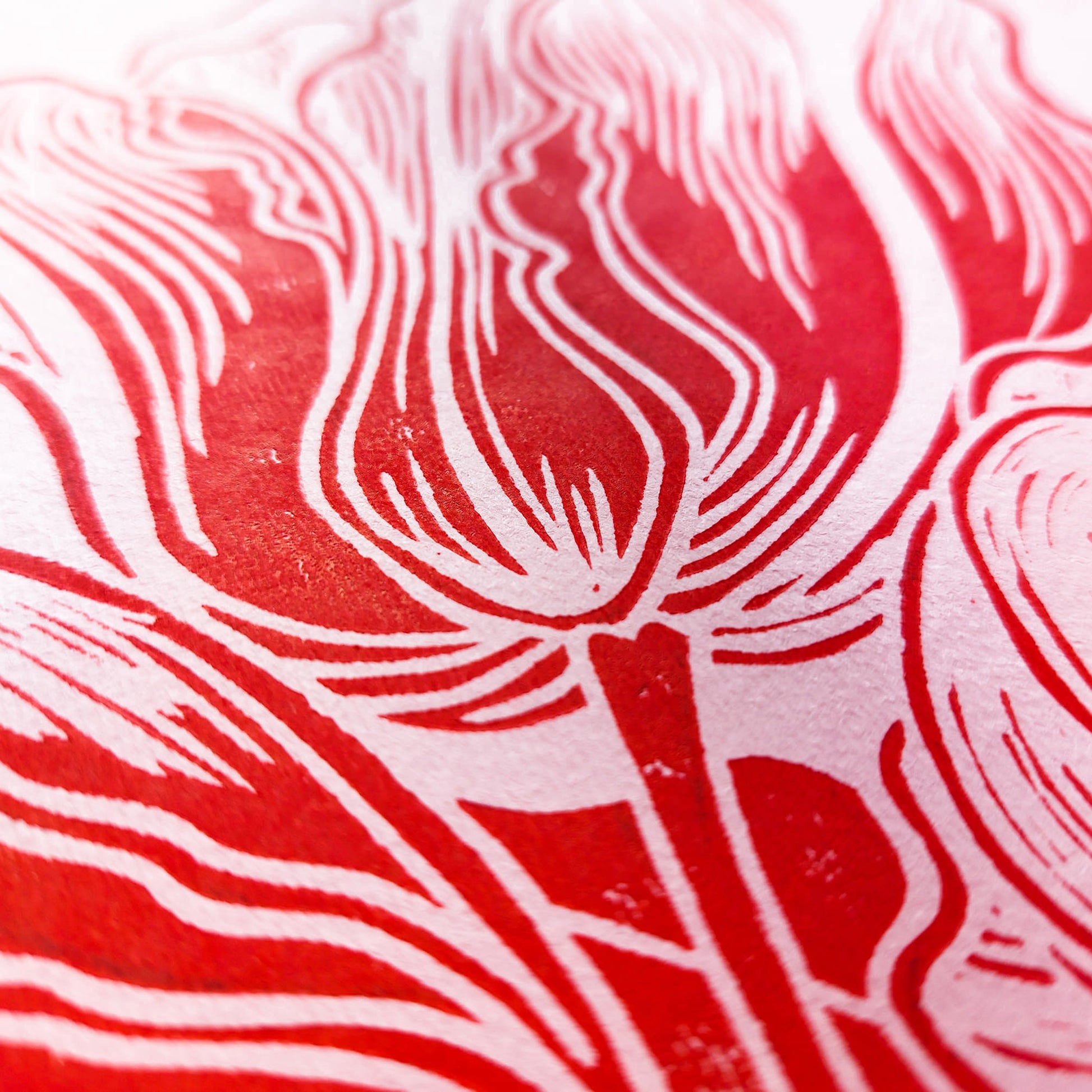 Red and pink tulips flowers Linocut print Spring wall art decor