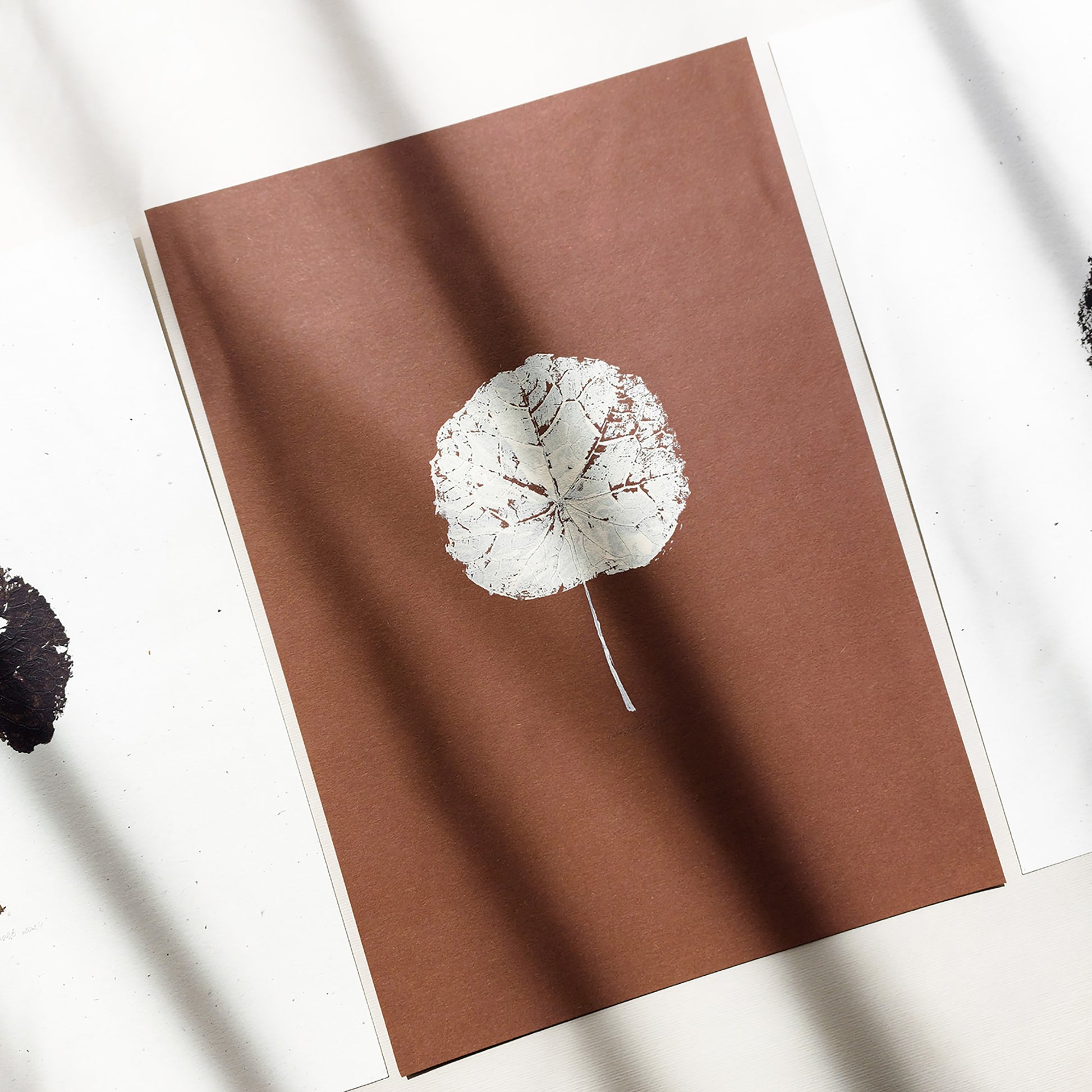 Brown Autumn Leaves Monotype Print Gallery Wall Set of 3 Original Artwork Cottagecore Kitchen Art Decor Hostess New Home Gift One of a Kind 
 going away gift for coworker, godparent gift, Xmas Gift, godmother gift, girlfriend gift, gift for the home, nature art educators, gift for best friend, female, foraged wall art, Floral wall art, Farmhouse wall decor, farm kitchen wall art, entryway wall art, Table Decor, dorm room decor, diy gift, Dining Room Decor, Botanical Gratitude Art, daughter in law gift