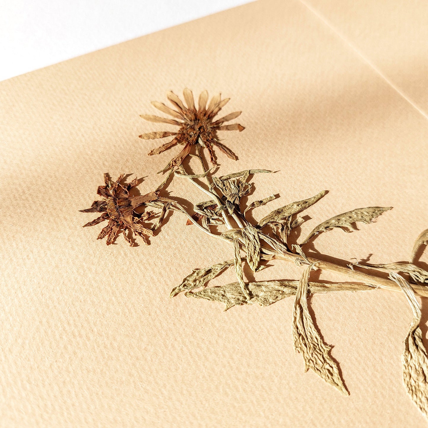Gallery wall set of 3 piece Calendula Origan garden dried flowers and plants Original artworks wall hanging, unique wall art, trendy wall art, thank you gift boss, teacher appreciation gift, Summer wall art, Spring wall art, sister in law gift, shelf decor, self gift, rustic wall art, retirement gift, realtor closing gift, pressed plants art, pressed leaves art, Pressed flower art, Plant print, plant lover gift, original artwork, one of a kind, nurse gift