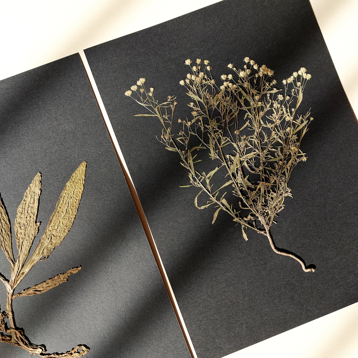 Gallery wall set of 2 unique plants Dried wildflowers Black paper original artworks decor Flower wall art, Floral wall art, Farmhouse wall decor, farm kitchen wall art, farm decor, easter gift, dried pressed flower art, dried flowers, dried botanical art, dorm room decor, diy gift, Dining Room Decor, daughter in law gift, cottagecore wall art, Botanical wall art, bookshelf decor, Bedroom wall art, aunt gift, Aesthetic wall art, office wall decor