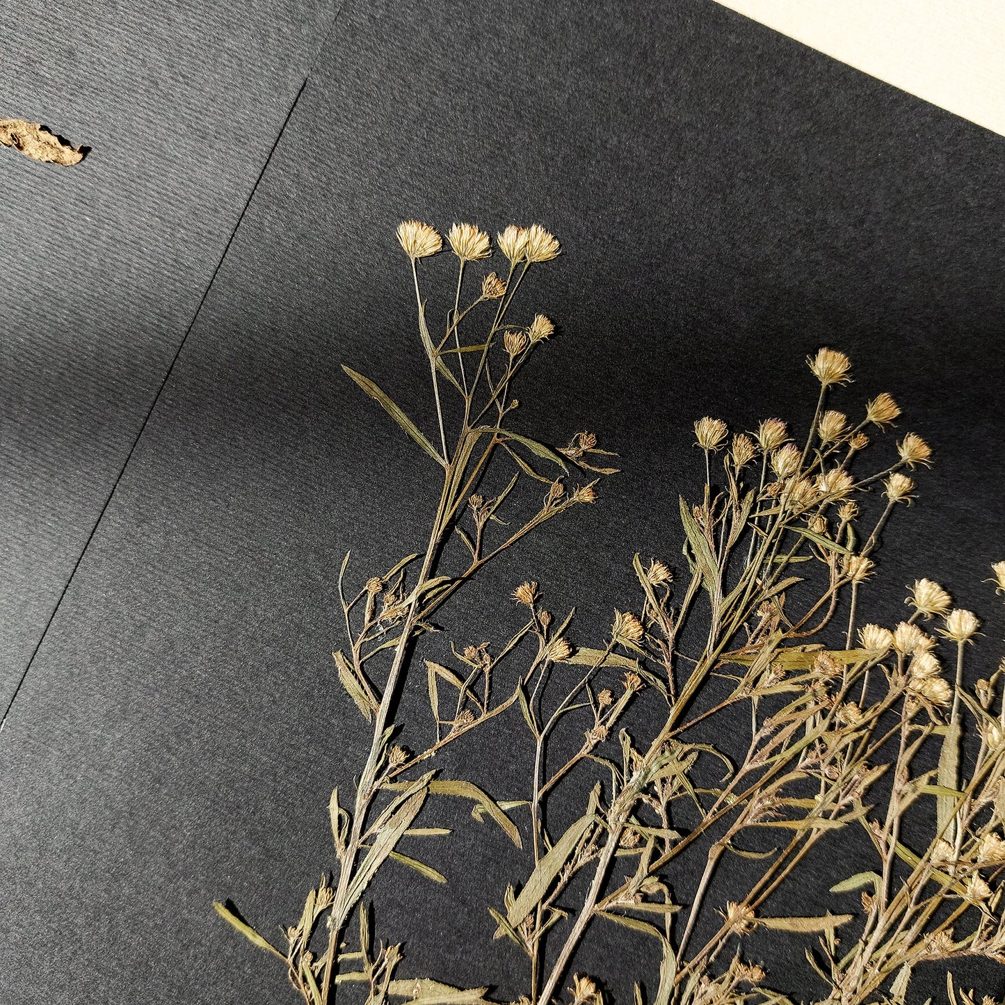 Gallery wall set of 2 unique plants Dried wildflowers Black paper original artworks decor wall hanging, unique wall art, trendy wall art, thank you gift boss, teacher appreciation gift, Summer wall art, Spring wall art, sister in law gift, shelf decor, self gift, rustic wall art, retirement gift, realtor closing gift, pressed plants art, pressed leaves art, Pressed flower art, Plant print, plant lover gift, original artwork, one of a kind, nurse gift