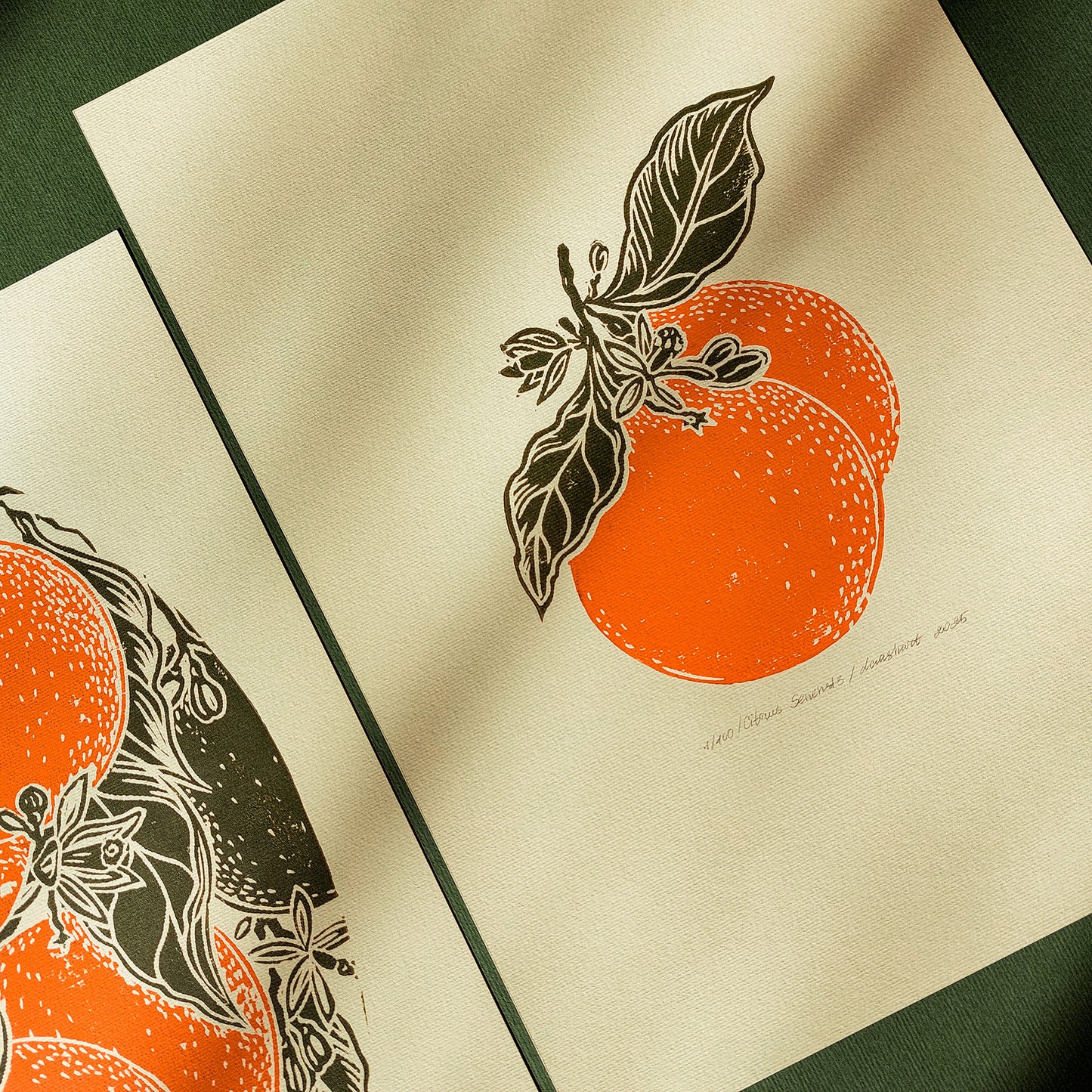 Gallery wall set of 2 Vintage oranges fruits linocut print for Kitchen art decor,wall hanging, Vintage art, unique wall art, trendy wall art, thank you gift boss, teacher appreciation gift, Summer wall art, sister in law gift, shelf decor, self gift, Sage green color, rustic artwork, Retro artwork, retirement gift, Relief print, realtor closing gift, Printmaking art, Plant print, plant lover gift, original illustration, original artwork