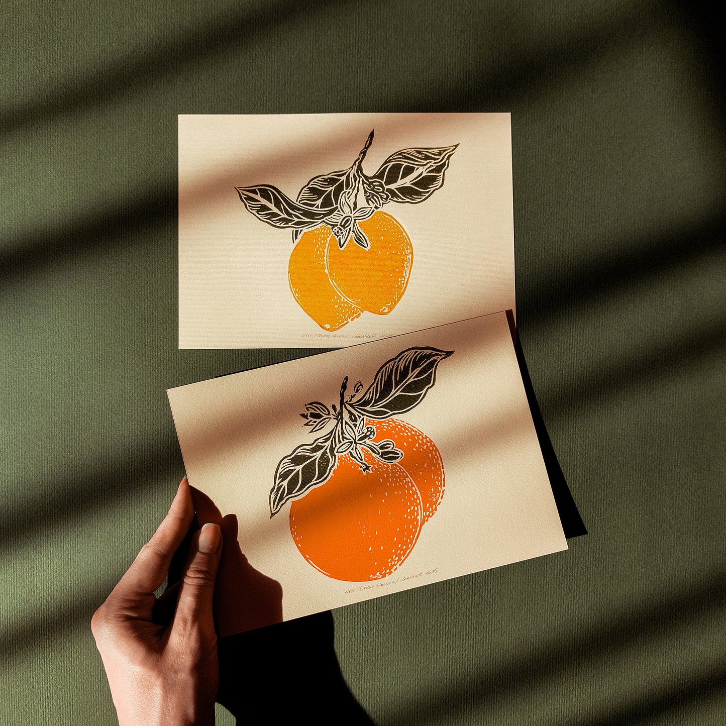 Gallery wall set of 2 Vintage lemon and orange fruits linocut print for Kitchen art decor Modern kitchen art, long distance gift, living room wall art minimalist, Living room wall art, Linoleum print, Linogravure, Linocut print, Lino print, laundry room decor, kitchen wall art, illustration print, Housewarming gift, hostess gift, home gift unique, heirloom gift, handmade gift for women, handmade gift for the home, grandmother gift, grandma gift, going away gift for coworker, godparent gift