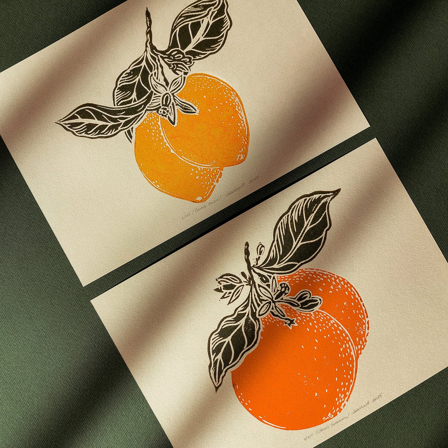 Gallery wall set of 2 Vintage lemon and orange fruits linocut print for Kitchen art decor foraged wall art, Floral wall art, Farmhouse wall decor, Farmhouse wall art, farm kitchen wall art, farm decor, easter gift, dorm room decor, diy gift, Dining Room Decor, Dining room art, daughter in law gift, cottagecore wall art, cottage core, citrus wall art prints, Botanical wall art, Botanical print, bookshelf decor, Block print, Beige color, Bedroom wall art, aunt gift, Aesthetic wall art