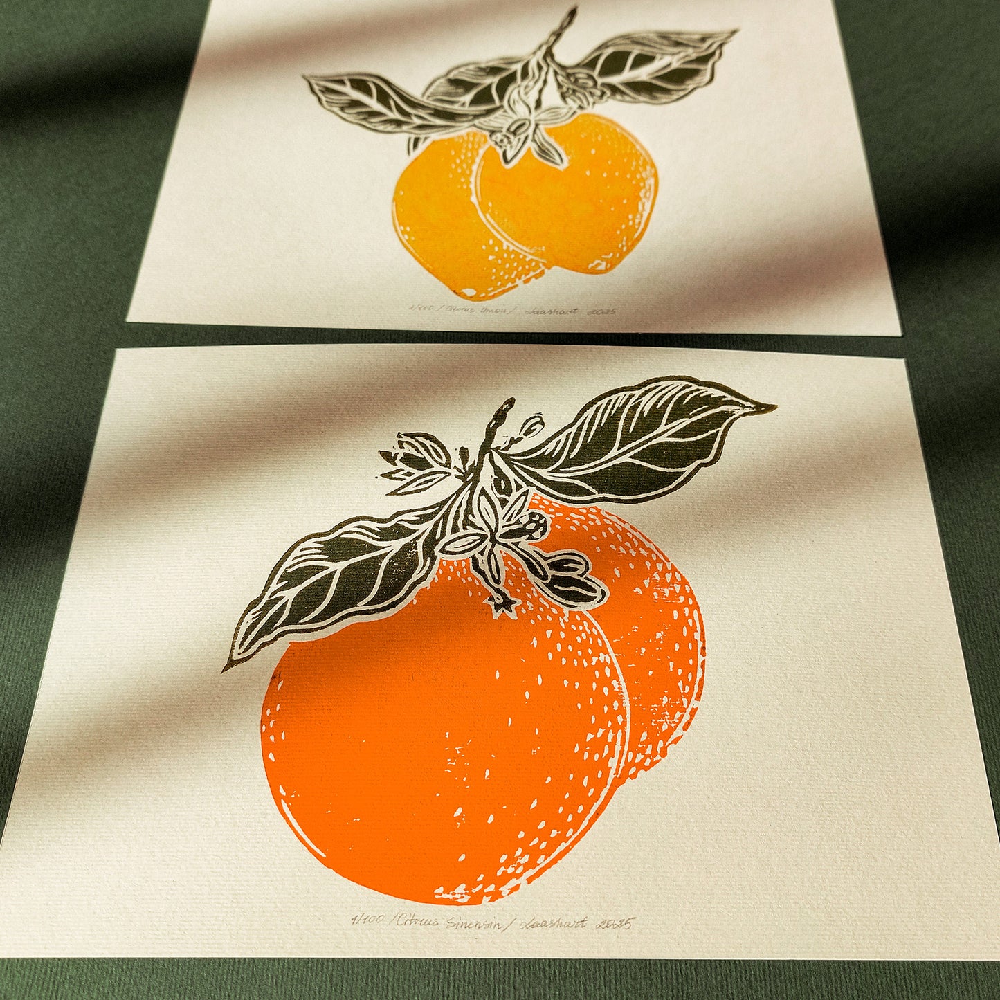 Gallery wall set of 2 Vintage lemon and orange fruits linocut print for Kitchen art decor wall hanging, Vintage art, unique wall art, trendy wall art, thank you gift boss, teacher appreciation gift, Summer wall art, sister in law gift, shelf decor, self gift, Sage green color, rustic artwork, Retro artwork, retirement gift, Relief print, realtor closing gift, Printmaking art, Plant print, plant lover gift, original illustration, original artwork