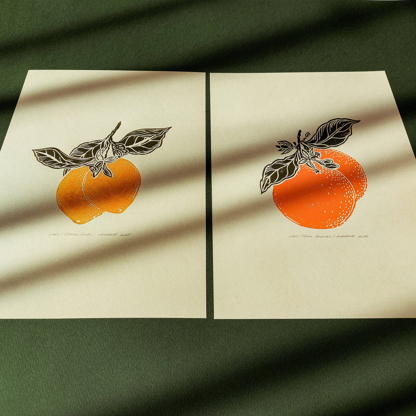 Gallery wall set of 2 Vintage lemon and orange fruits linocut print for Kitchen art decor citrus wall art prints, Botanical wall art, Botanical print, bookshelf decor, Block print, Beige color, Bedroom wall art, aunt gift, Aesthetic wall art