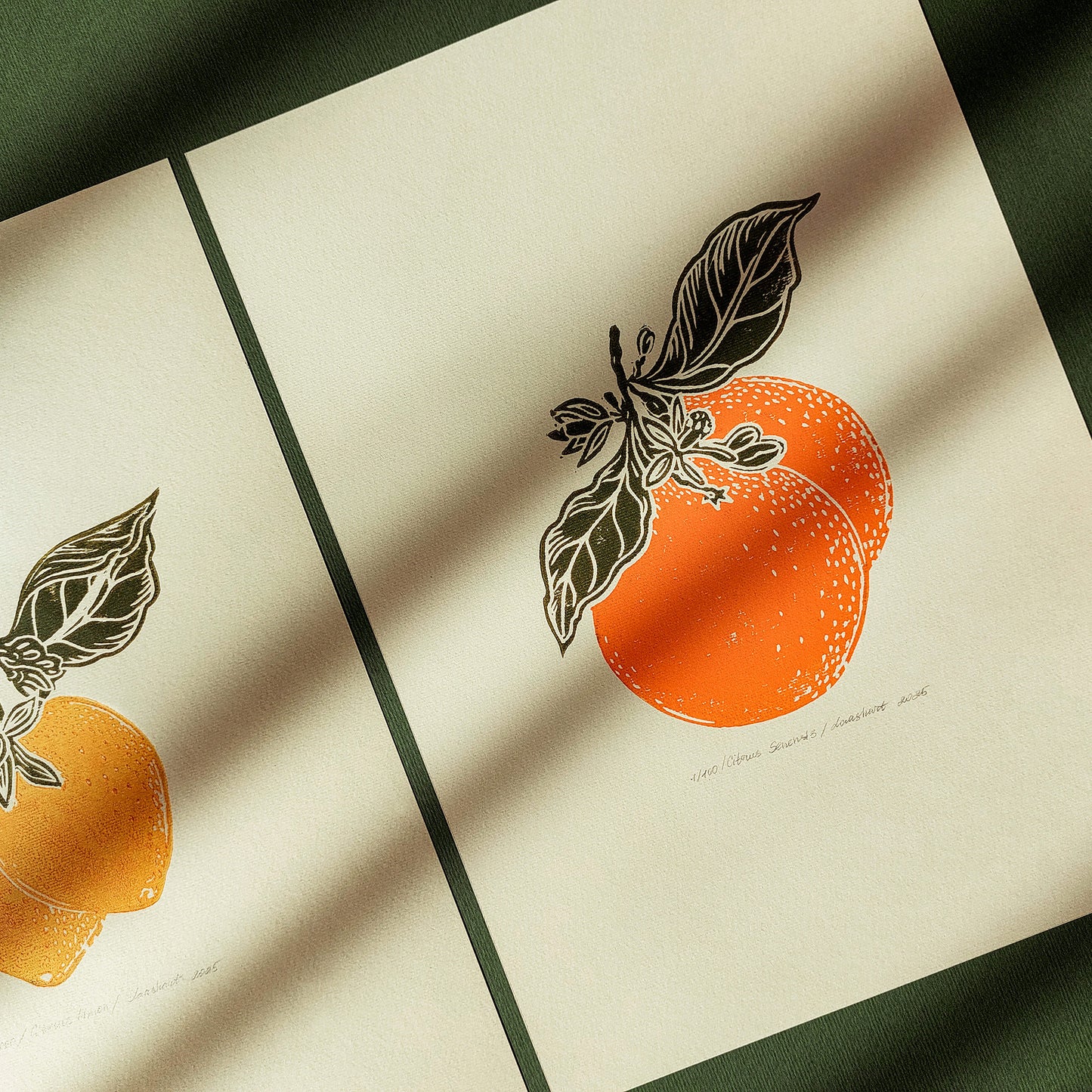 Gallery wall set of 2 Vintage lemon and orange fruits linocut print for Kitchen art decor wall hanging, Vintage art, unique wall art, trendy wall art, thank you gift boss, teacher appreciation gift, Summer wall art, sister in law gift, shelf decor, self gift, Sage green color, rustic artwork, Retro artwork, retirement gift, Relief print, realtor closing gift, Printmaking art, Plant print, plant lover gift, original illustration, original artwork, Oranges artwork, Orange color, Orange and green art