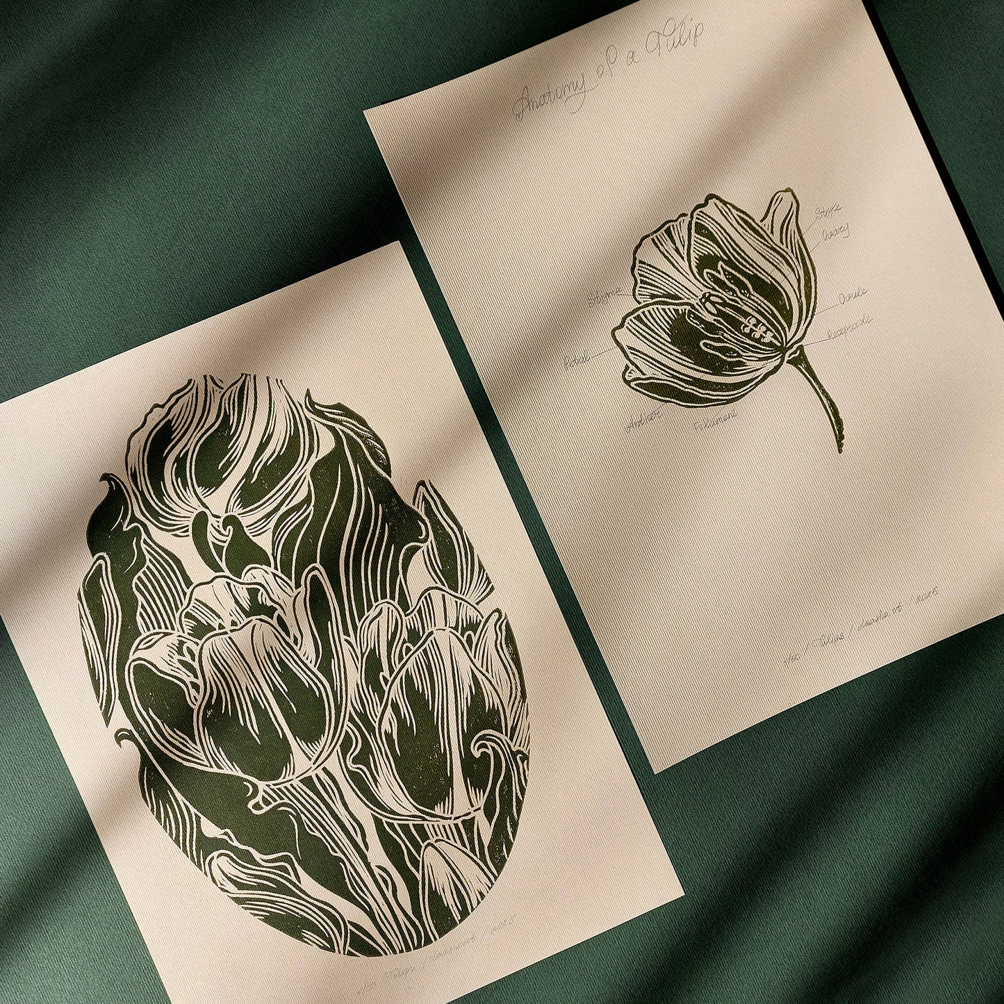 Gallery Wall Set of 2 Vintage Anatomy Tulip Flowers Linocut Print Wall art decor Linoleum print laundry room decor inscription Housewarming gift hostess gift home gift unique heirloom gift heilroom wall decor handmade gift for women handmade gift for the home grandmother gift grandma gift going away gift for coworker godparent gift godmother gift girlfriend gift gift for the home gift for best friend female foraged wall art Floral wall art Farmhouse wall decor farm kitchen wall art entryway wall art dorm
