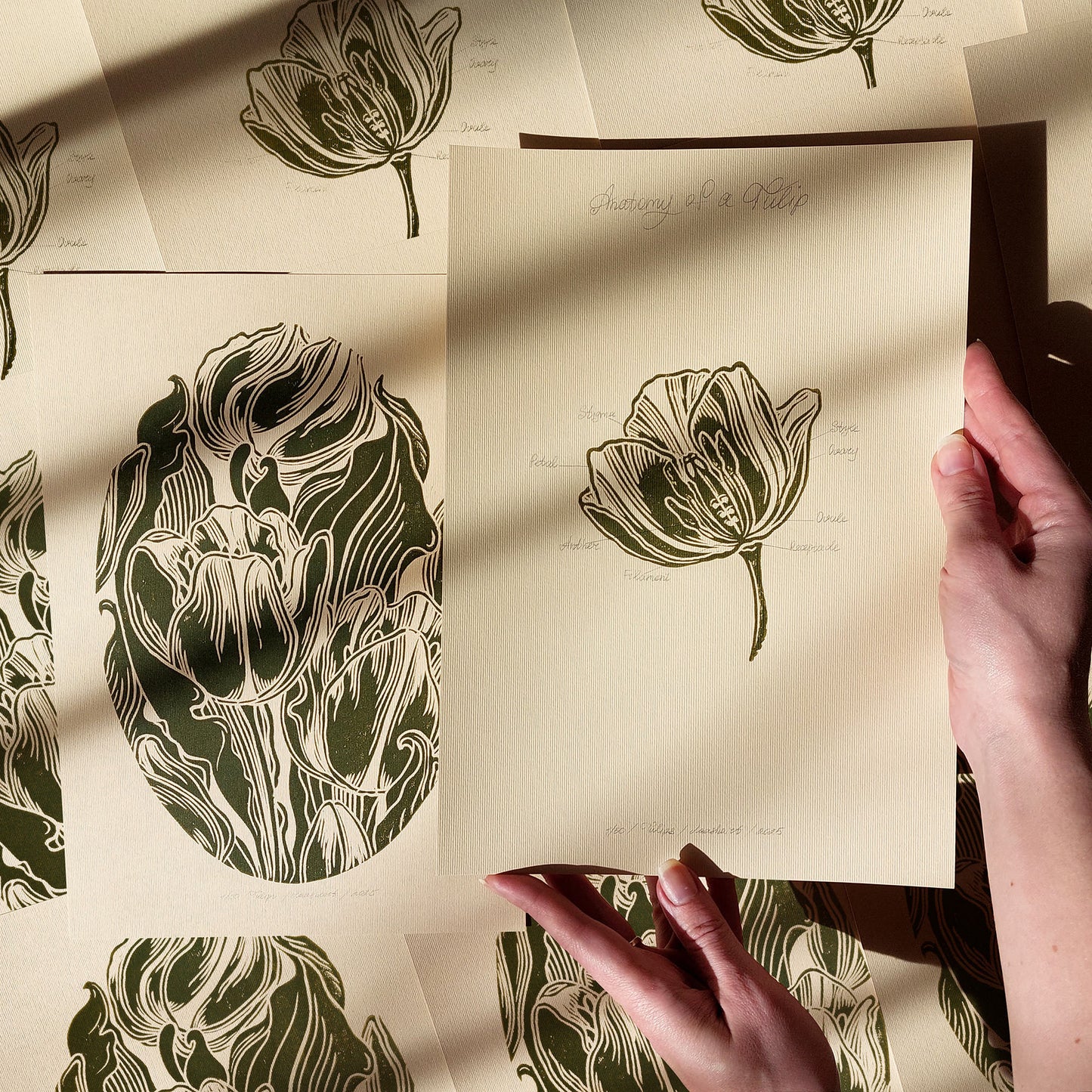 Gallery Wall Set of 2 Vintage Anatomy Tulip Flowers Linocut Print Wall art decor Linogravure Linocut print Lino print flower wall hanging Vintage art unique wall art trendy thank you gift boss teacher appreciation gift Summer Spring wall art sister in law gift signature shelf decor self gift Sage green color rustic wall art Retro artwork retirement Relief print realtor closing gift Printmaking art plant lover gift original illustration original