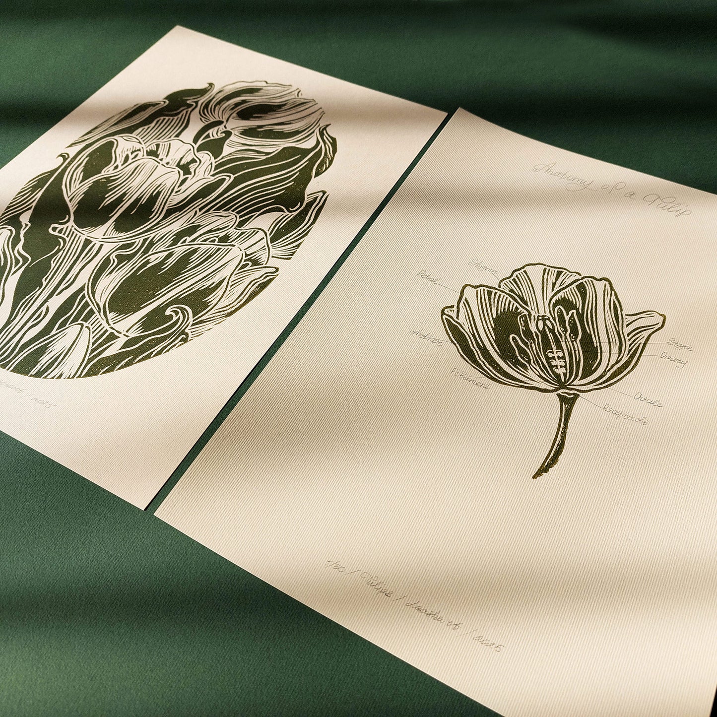 Gallery Wall Set of 2 Vintage Anatomy Tulip Flowers Linocut Print Wall art decor Linoleum print laundry room decor inscription Housewarming gift hostess gift home gift unique heirloom gift heilroom wall decor handmade gift for women handmade gift for the home grandmother gift grandma gift going away gift for coworker godparent gift godmother gift girlfriend gift gift for the home gift for best friend female foraged wall art Floral wall art Farmhouse wall decor farm kitchen wall art entryway wall art dorm