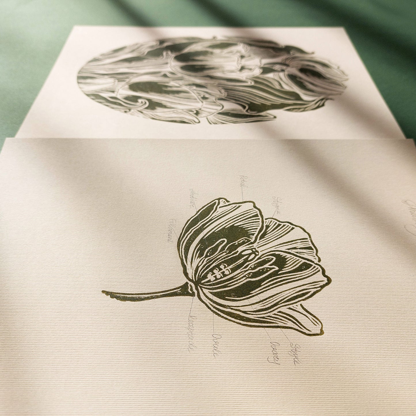 Gallery Wall Set of 2 Vintage Anatomy Tulip Flowers Linocut Print Wall art decor original artwork one of a kind office wall decor nurse gift niece gift from aunt new mom gift new job gift New home gift new grandma gift new apartment housewarming gift new apartment gift nature print nature lover gift mothers day gift ideas mothers day gift from daughter mothers day gift mother in law gift mom birthday gift Modern kitchen art Mid century modern long distance gift living room wall art minimalist Living room wa