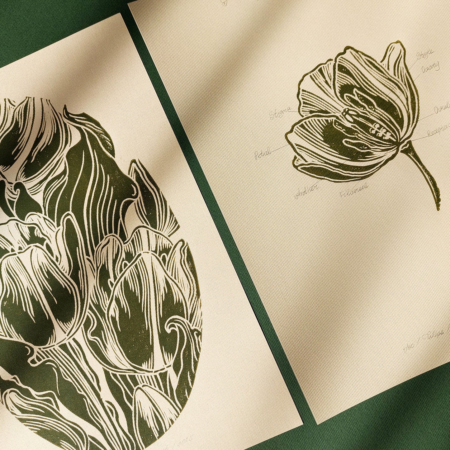 Gallery Wall Set of 2 Vintage Anatomy Tulip Flowers Linocut Print Wall art decor Linoleum print laundry room decor inscription Housewarming gift hostess gift home gift unique heirloom gift heilroom wall decor handmade gift for women handmade gift for the home grandmother gift grandma gift going away gift for coworker godparent gift godmother gift girlfriend gift gift for the home gift for best friend female foraged wall art