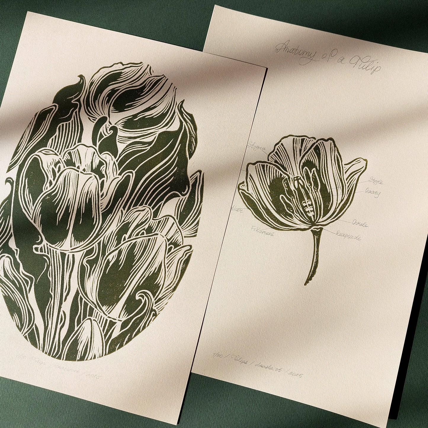 Gallery Wall Set of 2 Vintage Anatomy Tulip Flowers Linocut Print Wall art decor dorm room decor diy gift Dining Room Decor daughter in law gift cottagecore wall art cottage core Botanical bookshelf decor Block print Beige color Bedroom wall art bathroom print aunt gift anatomy of flowers Aesthetic wall art A4 chateaucore