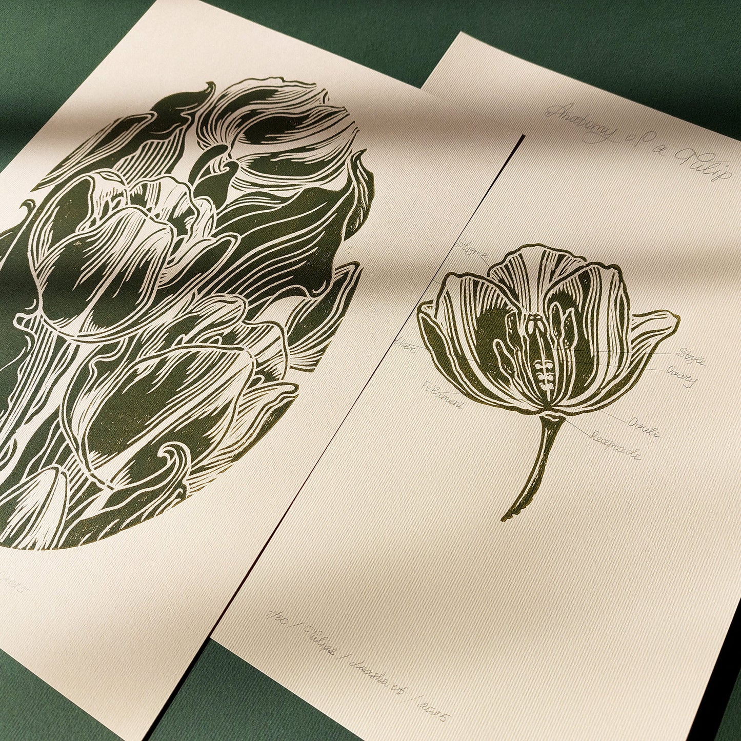 Gallery Wall Set of 2 Vintage Anatomy Tulip Flowers Linocut Print Wall art decor Floral wall art Farmhouse wall decor farm kitchen wall art entryway wall art dorm room decor diy gift Dining Room Decor daughter in law gift cottagecore wall art cottage core Botanical bookshelf decor Block print Beige color Bedroom wall art bathroom print aunt gift anatomy of flowers Aesthetic wall art A4 chateaucore