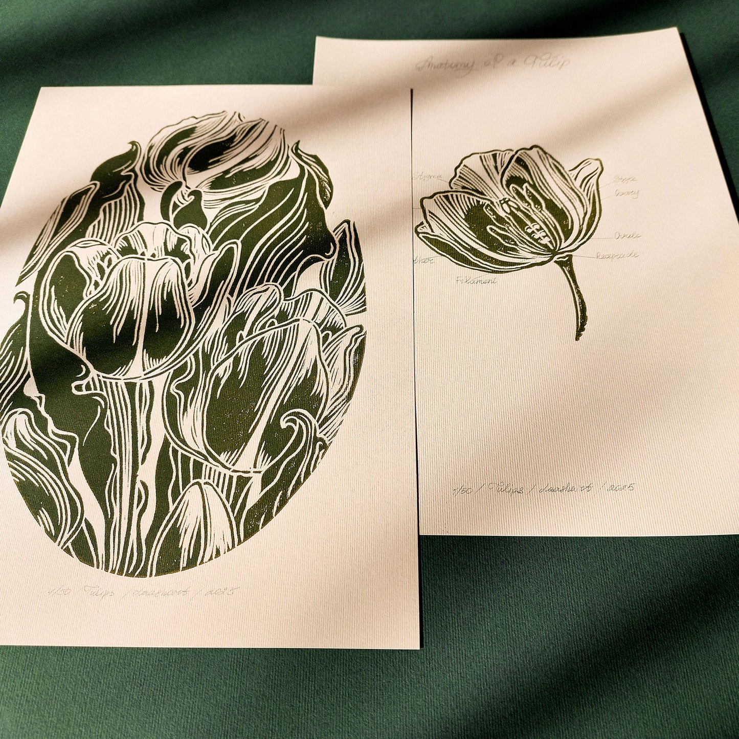 Gallery Wall Set of 2 Vintage Anatomy Tulip Flowers Linocut Print Wall art decor Linogravure Linocut print Lino print flower wall hanging Vintage art unique wall art trendy thank you gift boss teacher appreciation gift Summer Spring wall art sister in law gift signature shelf decor self gift Sage green color rustic wall art Retro artwork retirement Relief print realtor closing gift Printmaking art plant lover gift