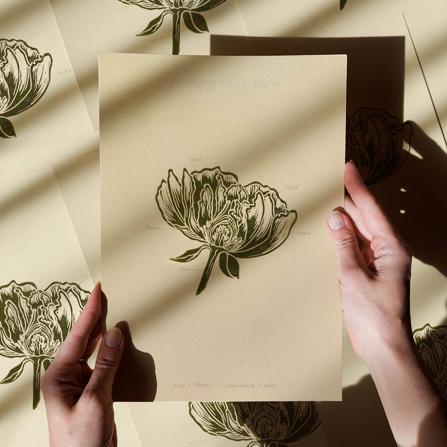 vintage anatomy peony flower linocut print sage green art color botanical wall decor original artwork chateaucore decor bedroom handmade educational nature lover gift floral lino print linogravure rustic farm farmhouse retro living room dining entryway modern kitchen dorm hallway heilroom mom mother wife woman sister girlfriend grandmother godmother houswarming new apartment home decoration thoughtful teacher Handprinted Present Gratitude Gift Professor Rustic Warm Earth Tones sage green beige