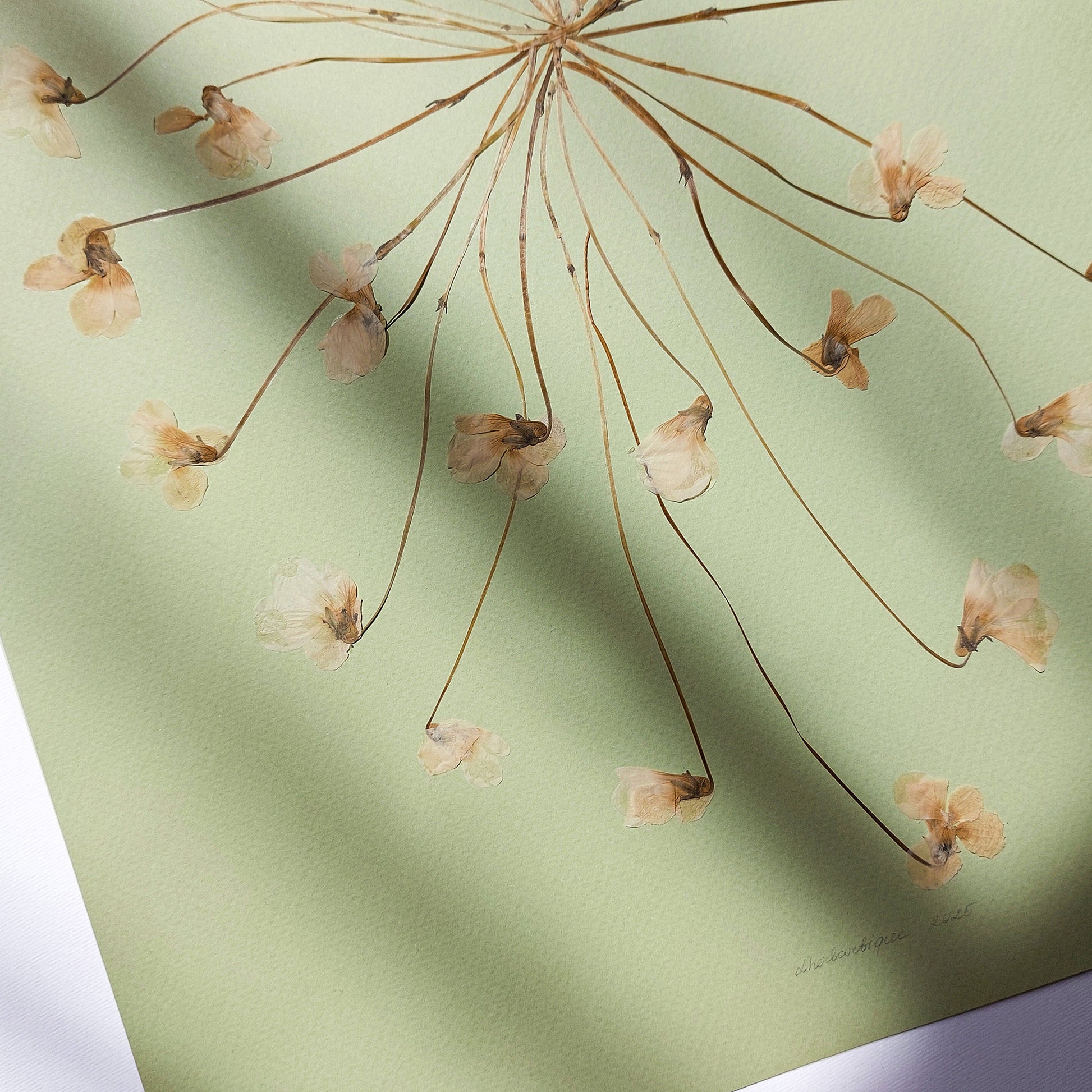 Neutral Lime Cream Paper and White Violet Dried Flowers wall hanging Aesthetic wall art, office wall decor, Gift to Say Thank, Eco Friendly Thank You Gift, Thankful Wall Decor hostess gift, Hostess Thank You Gift, Thank You Gift for Mom, Thankful Wall Decor, Thanksgiving Table Decor, Unique Thank You Present, Christmas gift, christmas present, Christmas artwork, Christmas, Christmas wall decor, Cottagecore Christmas