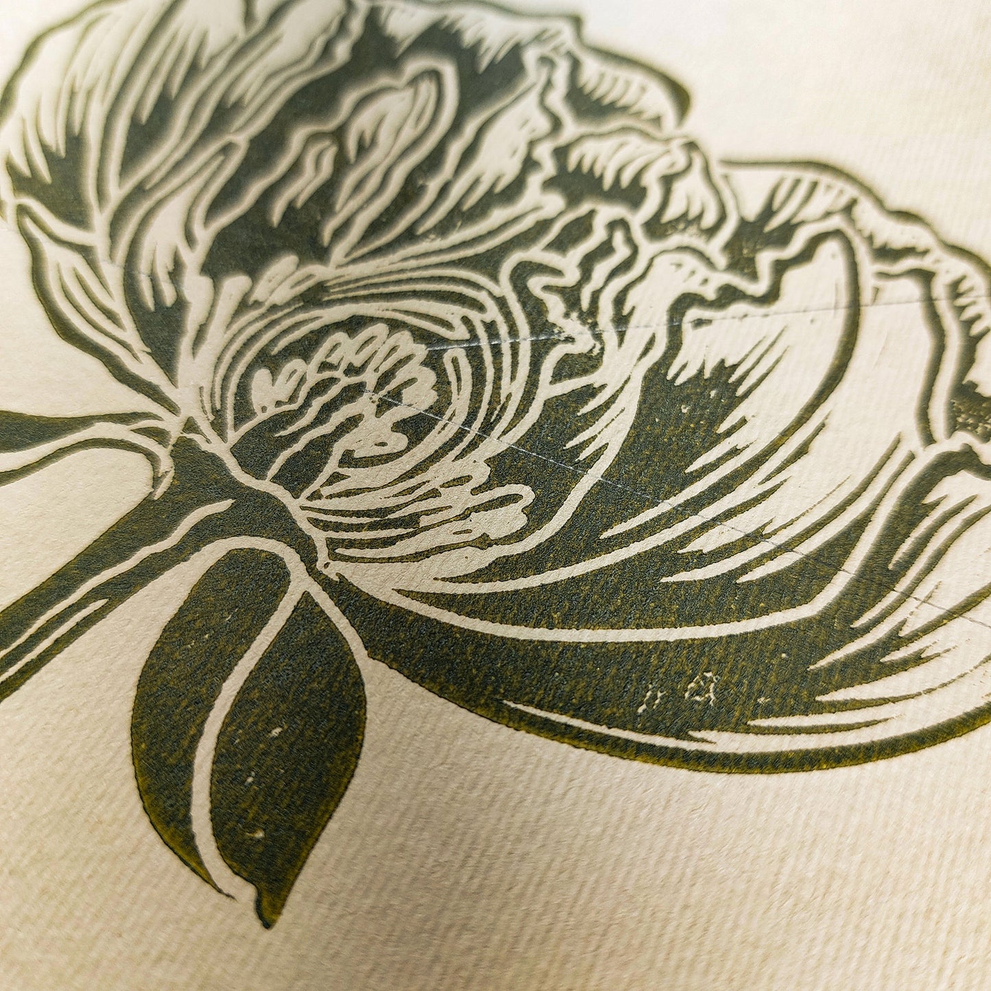 Vintage Anatomy Peony Flower Linocut Print Sage Green Botanical Original Artwork Chateaucore Bedroom Wall Art Decor Educational Nature Gift
sister in law gift signature shelf decor self gift Sage green color rustic wall art Retro artwork retirement Relief print realtor closing gift Printmaking art plant lover gift original illustration original artwork one of a kind office wall decor nurse gift niece gift from aunt new mom gift new job gift New home gift new grandma gift new apartment housewarming gift new