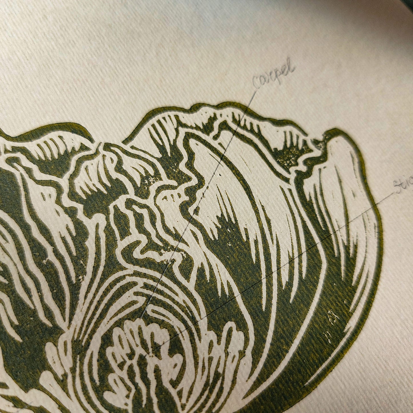 Vintage Anatomy Peony Flower Linocut Print Sage Green Botanical Original Artwork Chateaucore Bedroom Wall Art Decor Educational Nature Gift
New home gift new grandma gift new apartment housewarming gift new apartment gift nature print nature lover gift mothers day gift ideas mothers day gift from daughter mothers day gift mother in law gift mom birthday gift Modern kitchen art Mid century modern long distance gift living room wall art minimalist Living room wall art Linoleum print laundry room decor