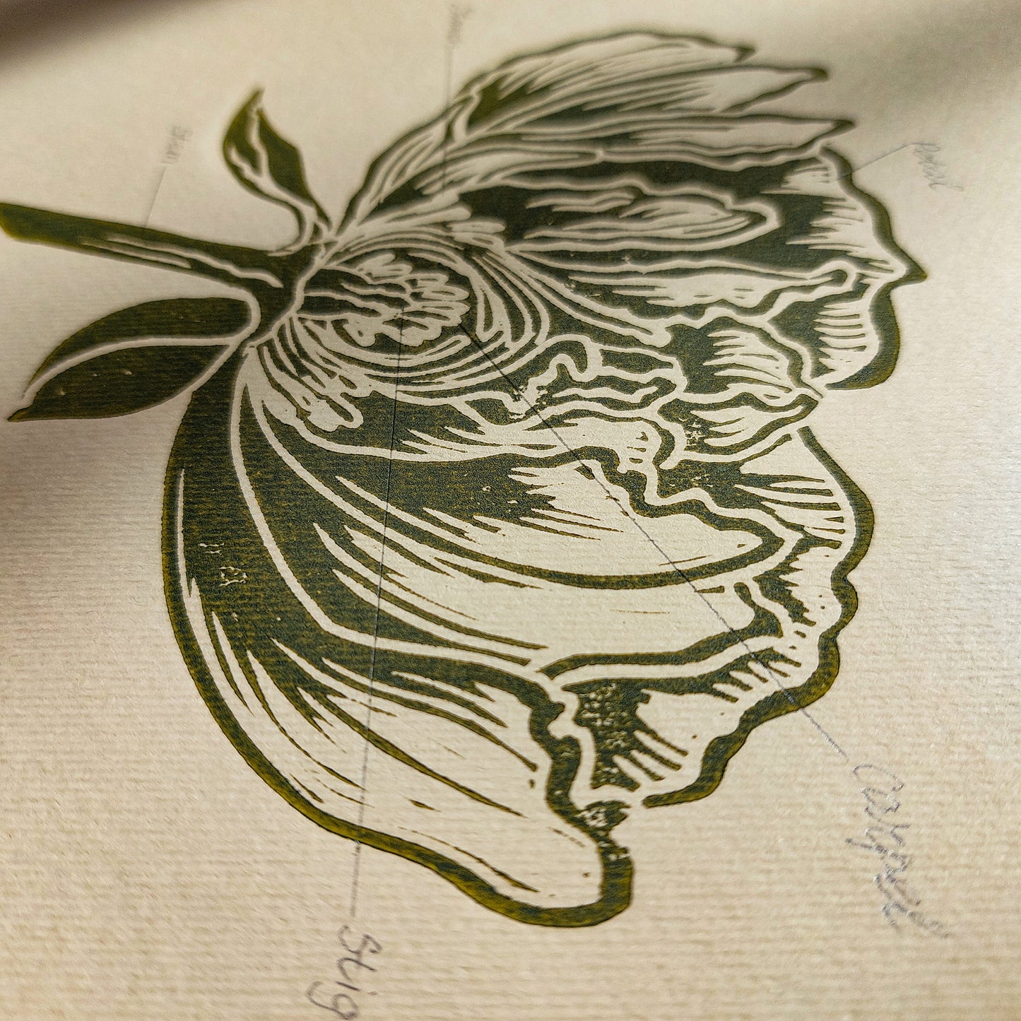 Vintage Anatomy Peony Flower Linocut Print Sage Green Botanical Original Artwork Chateaucore Bedroom Wall Art Decor Educational Nature Gift
long distance gift living room wall art minimalist Living room wall art Linoleum print laundry room decor inscription Housewarming gift hostess gift home gift unique heirloom gift heilroom wall decor handmade gift for women handmade gift for the home grandmother gift grandma gift going away gift for coworker godparent gift godmother gift girlfriend gift