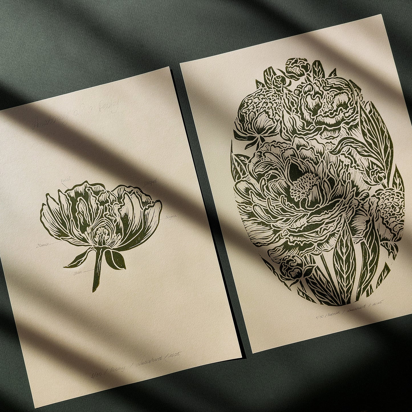 Vintage Anatomy Peonies Flower Linocut Print Gallery Wall Set of 2 Cottagecore Floral Original Artwork Above Bed Lino Art Decor Mother Gift 
home grandmother gift grandma gift going away gift for coworker godparent gift godmother gift girlfriend gift gift for the home gift for best friend female foraged wall art Floral wall art Farmhouse wall decor farm kitchen wall art entryway wall art dorm room decor diy gift Dining Room Decor daughter in law gift cottagecore wall art cottage core Botanical