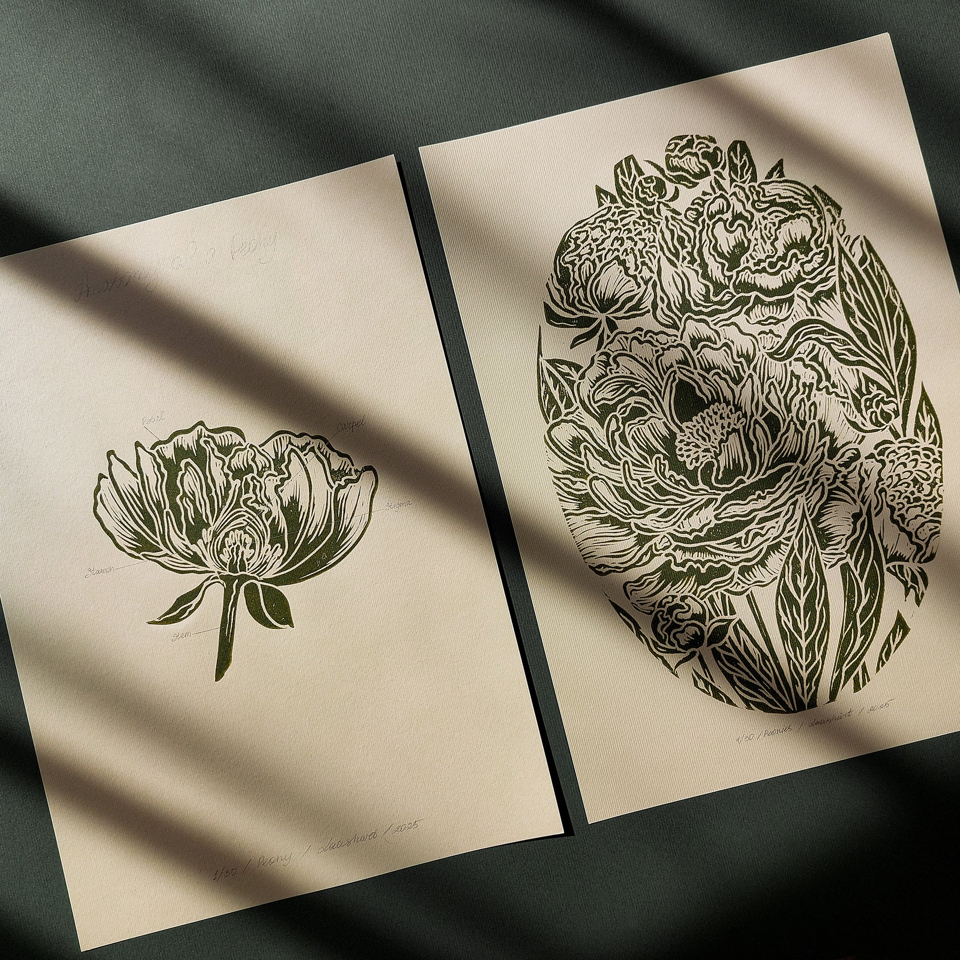 Vintage Anatomy Peonies Flower Linocut Print Gallery Wall Set of 2 Cottagecore Floral Original Artwork Above Bed Lino Art Decor Mother Gift 
home grandmother gift grandma gift going away gift for coworker godparent gift godmother gift girlfriend gift gift for the home gift for best friend female foraged wall art Floral wall art Farmhouse wall decor farm kitchen wall art entryway wall art dorm room decor diy gift Dining Room Decor daughter in law gift cottagecore wall art cottage core Botanical