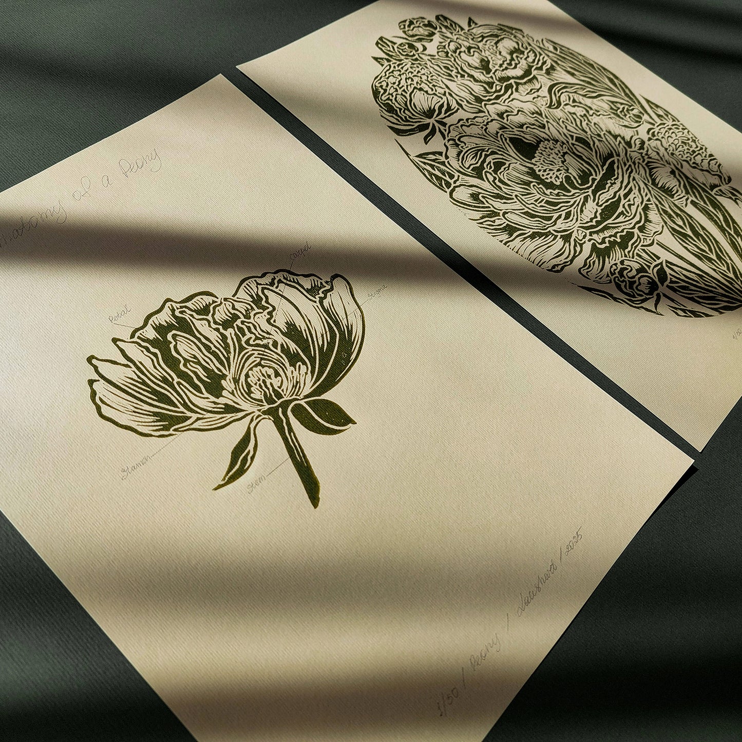 Vintage Anatomy Peonies Flower Linocut Print Gallery Wall Set of 2 Cottagecore Floral Original Artwork Above Bed Lino Art Decor Mother Gift 
Relief print realtor closing gift Printmaking art plant lover gift original illustration original artwork one of a kind office wall decor nurse gift niece gift from aunt new mom gift new job gift New home gift new grandma gift new apartment housewarming gift new apartment gift nature print nature lover gift mothers day gift ideas mothers day gift from daughter mothers