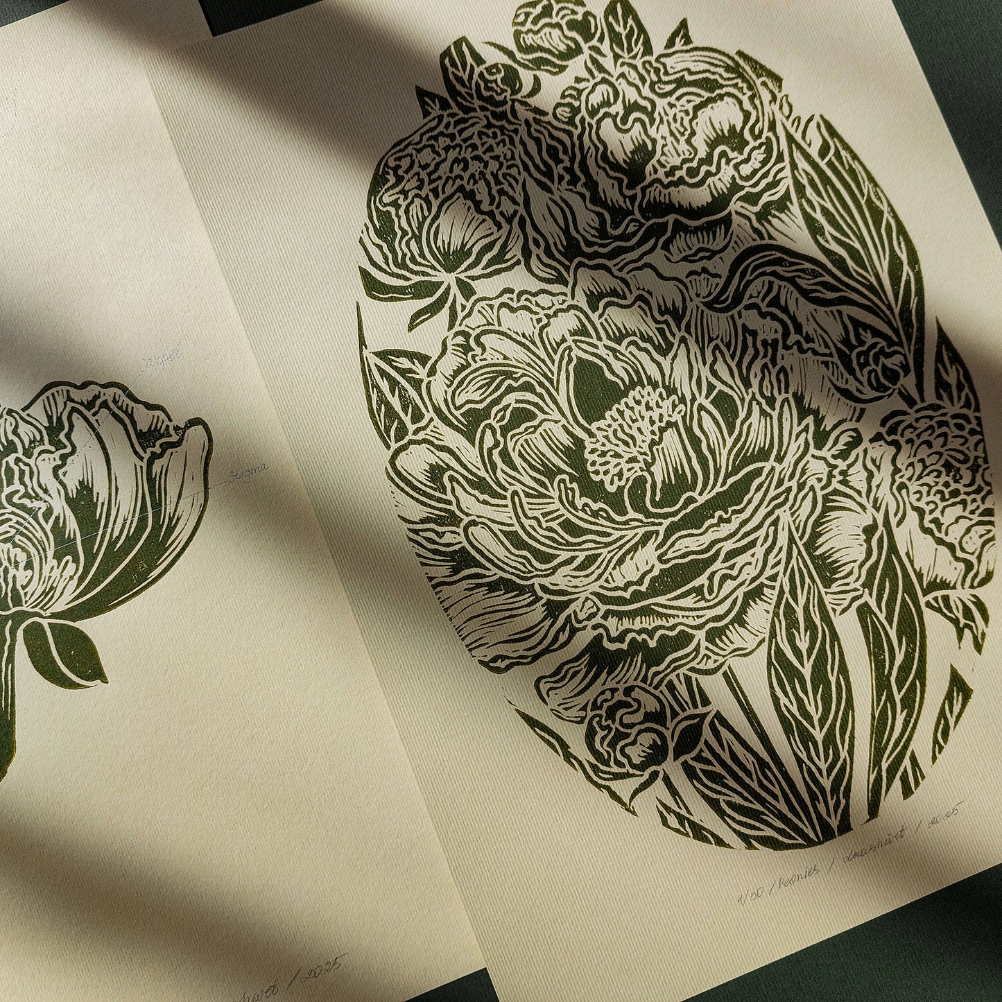 Vintage Anatomy Peonies Flower Linocut Print Gallery Wall Set of 2 Cottagecore Floral Original Artwork Above Bed Lino Art Decor Mother Gift 
daughter mothers day gift mother in law gift mom birthday gift Modern kitchen art Mid century modern long distance gift living room wall art minimalist Living room wall art Linoleum print laundry room decor inscription Housewarming gift hostess gift home gift unique heirloom gift heilroom wall decor handmade gift for women handmade gift for the home grandmother gift