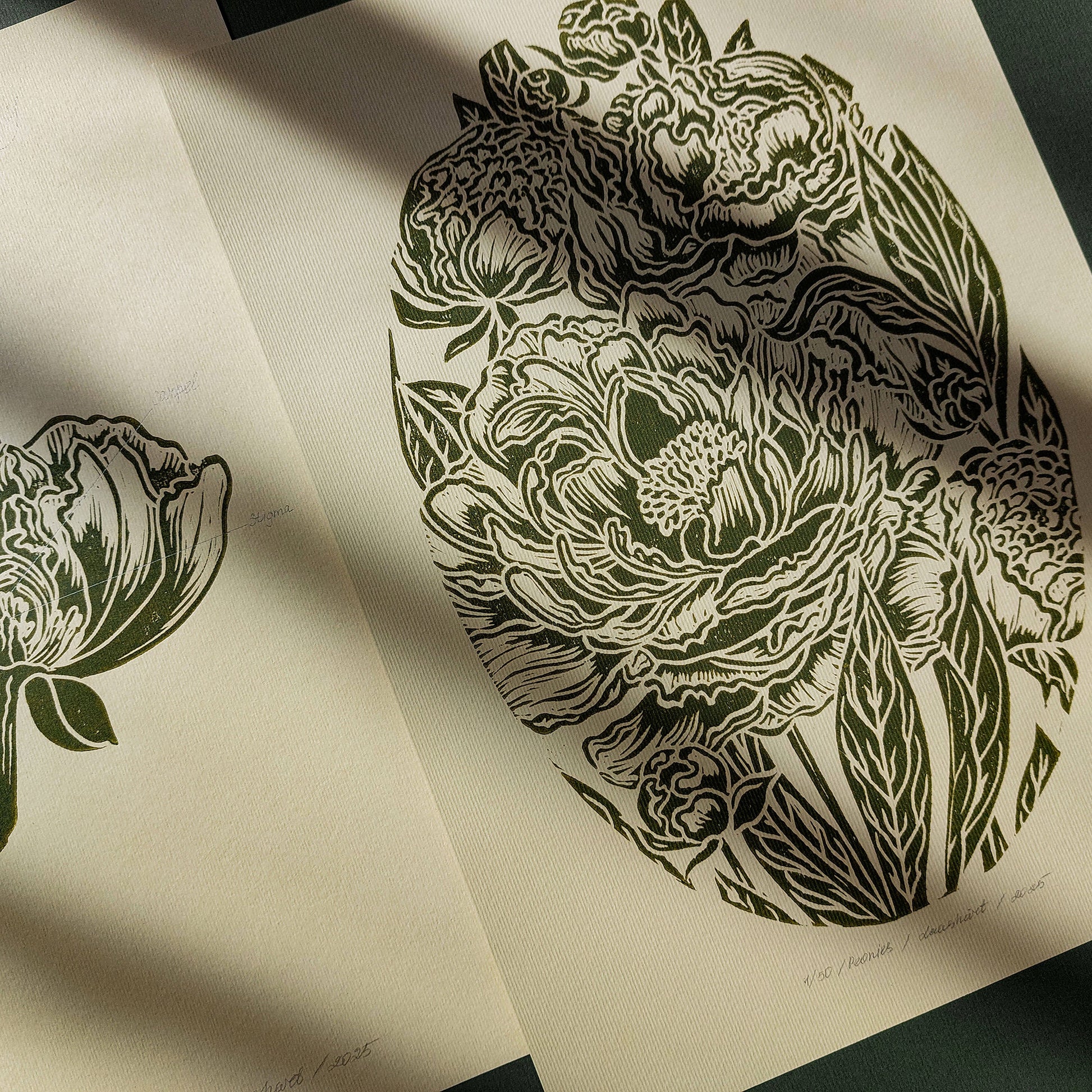 Vintage Anatomy Peonies Flower Linocut Print Gallery Wall Set of 2 Cottagecore Floral Original Artwork Above Bed Lino Art Decor Mother Gift 
daughter mothers day gift mother in law gift mom birthday gift Modern kitchen art Mid century modern long distance gift living room wall art minimalist Living room wall art Linoleum print laundry room decor inscription Housewarming gift hostess gift home gift unique heirloom gift heilroom wall decor handmade gift for women handmade gift for the home grandmother gift