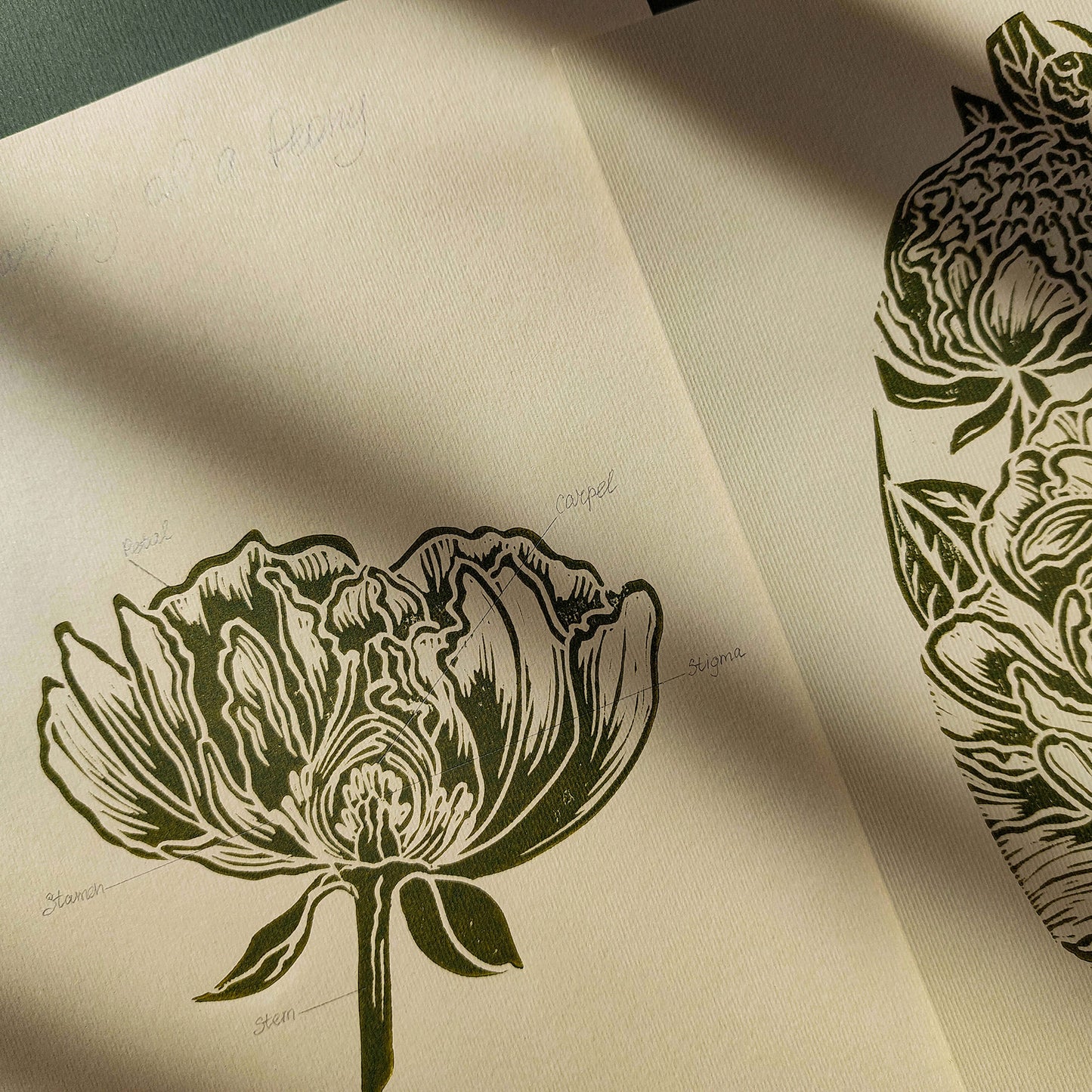 Vintage Anatomy Peonies Flower Linocut Print Gallery Wall Set of 2 Cottagecore Floral Original Artwork Above Bed Lino Art Decor Mother Gift 
 thank you gift boss teacher appreciation gift Summer Spring wall art sister in law gift signature shelf decor self gift Sage green color rustic wall art Retro artwork retirement Relief print realtor closing gift Printmaking art plant lover gift original illustration original artwork one of a kind office wall decor nurse gift niece gift from aunt new mom gift new job