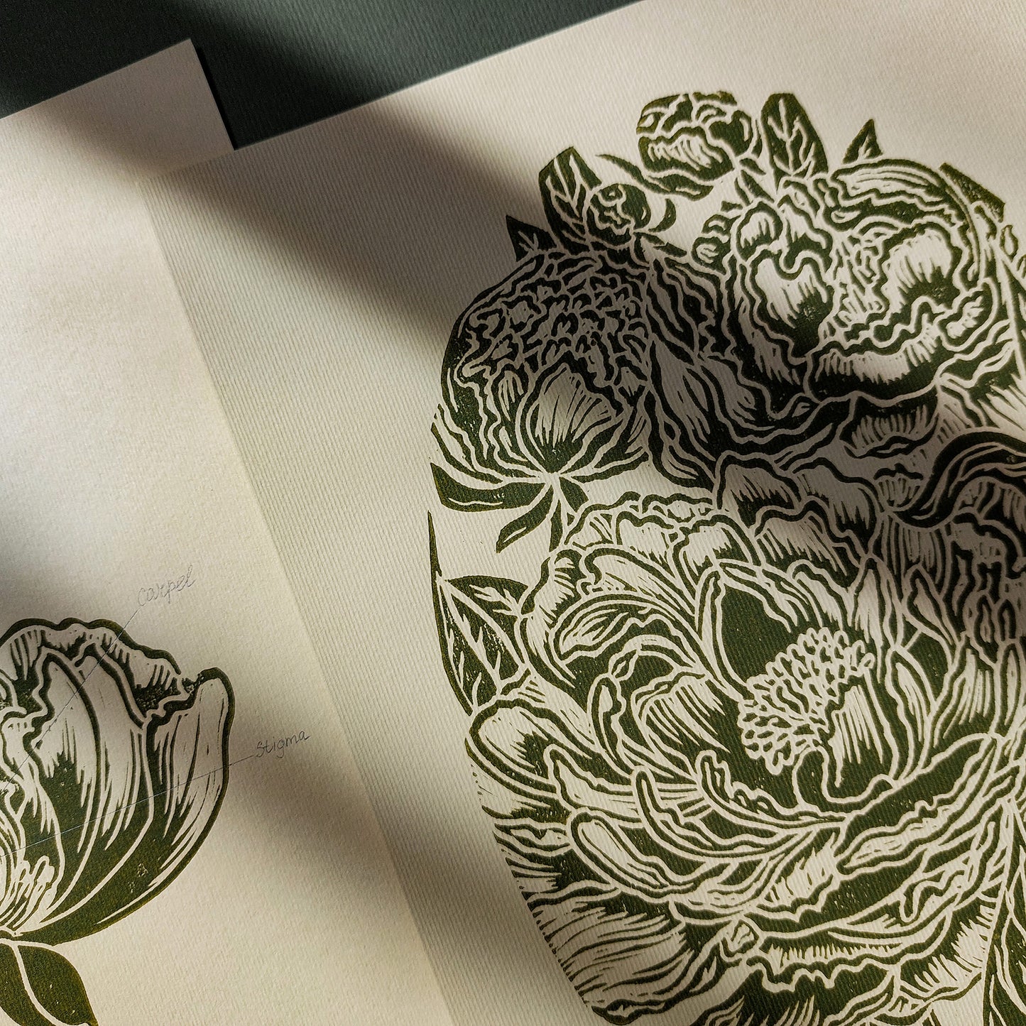 Vintage Anatomy Peonies Flower Linocut Print Gallery Wall Set of 2 Cottagecore Floral Original Artwork Above Bed Lino Art Decor Mother Gift 
original artwork one of a kind office wall decor nurse gift niece gift from aunt new mom gift new job gift New home gift new grandma gift new apartment housewarming gift new apartment gift nature print nature lover gift mothers day gift ideas mothers day gift from daughter mothers day gift mother in law gift mom birthday gift Modern kitchen art Mid century modern long