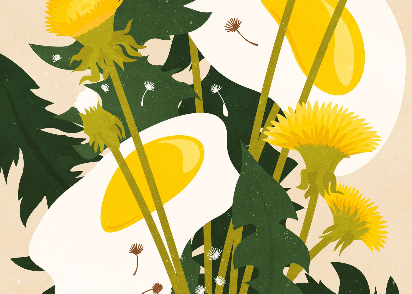 Details Botanical vintage fried egg Dandelion plants and flower digital poster
