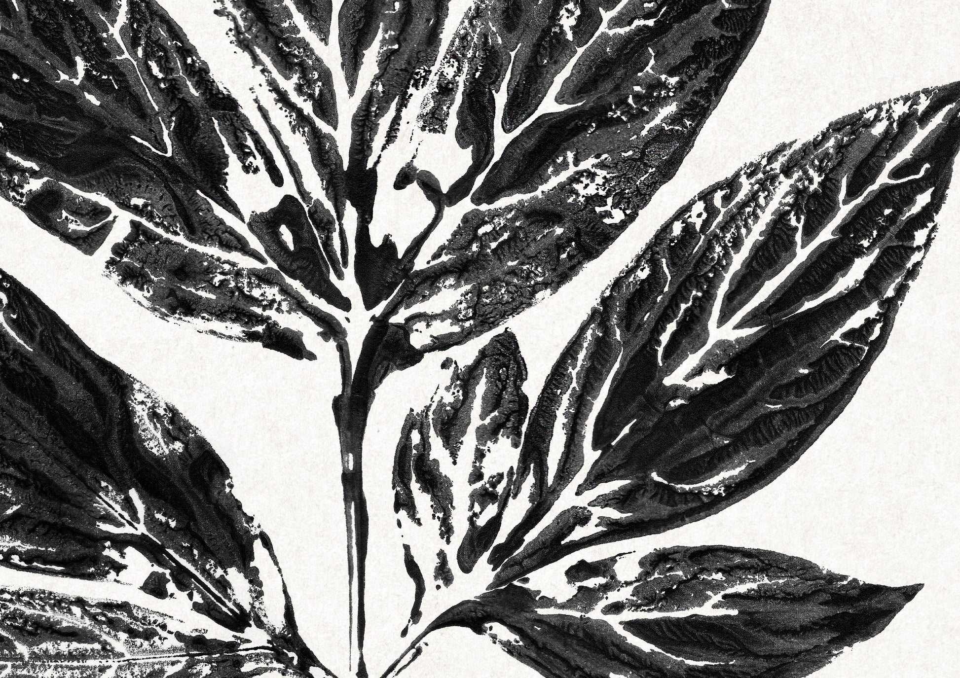 Black large monotype leaves Printable wall art Vintage classical minimalist poster Botanical prints for Farmhouse decor INSTANT DOWNLOAD Farm foraged cottagecore Bedroom Living room Kitchen Housewarming New first home gift