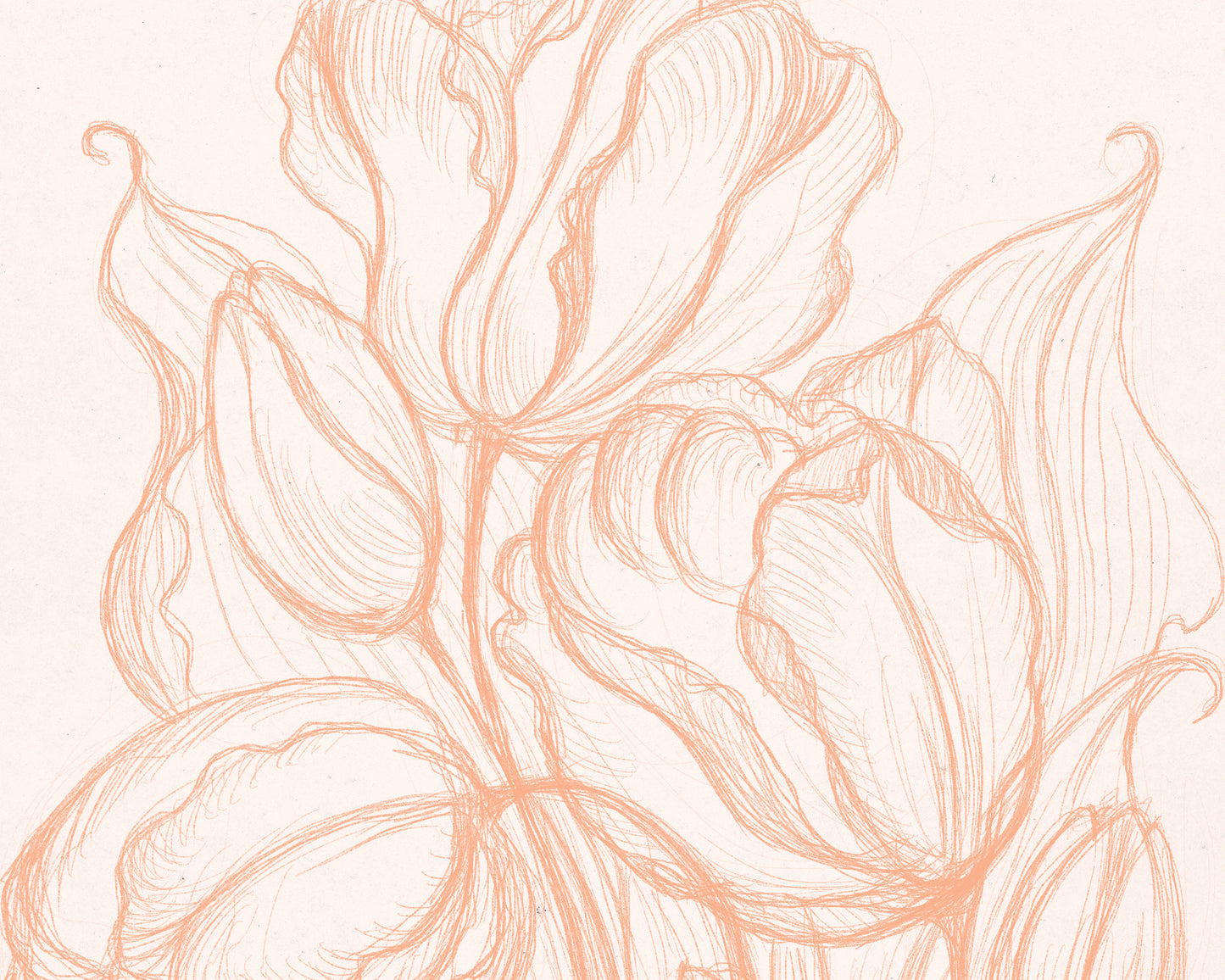 Spring peach fuzz wall art Hand drawn tulips flower sketch Line floral large botanical poster Printable neutral prints for Bedroom decor digital instant download Living room Home workspace large new first housewarming gift