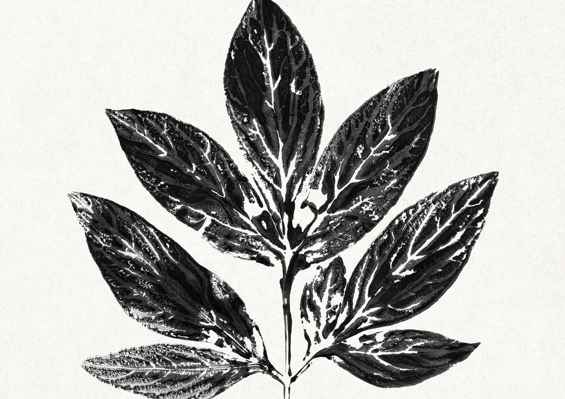 Black large monotype leaves Printable wall art Vintage classical minimalist poster Botanical prints for Farmhouse decor INSTANT DOWNLOAD Farm foraged cottagecore Bedroom Living room Kitchen Housewarming New first home gift