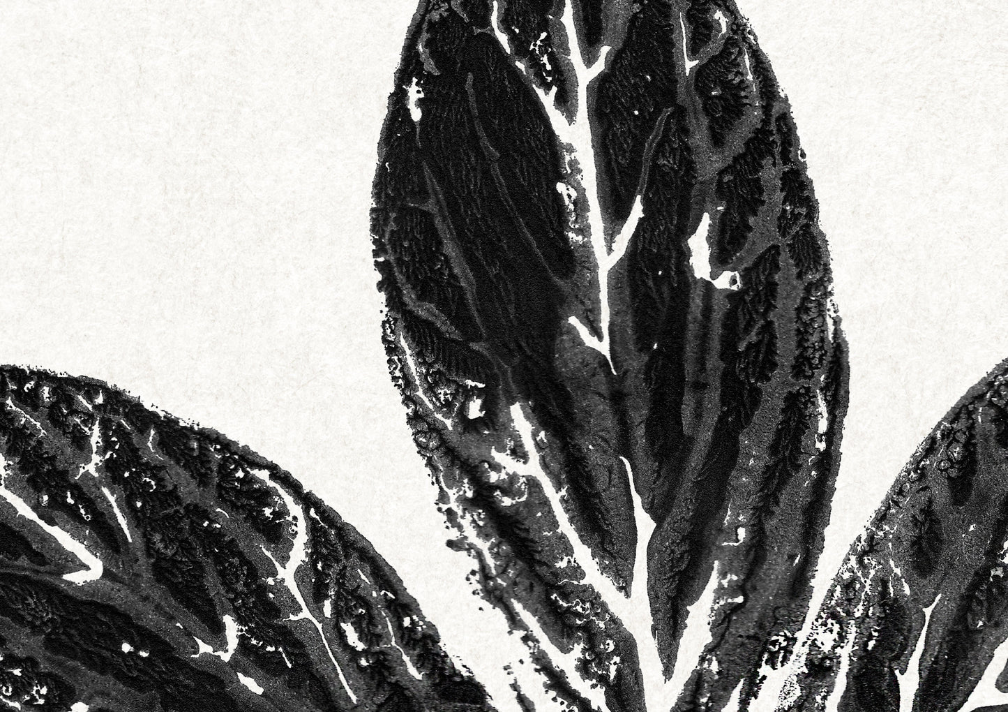 Black large monotype leaves Printable wall art Vintage classical minimalist poster Botanical prints for Farmhouse decor INSTANT DOWNLOAD Farm foraged cottagecore Bedroom Living room Kitchen Housewarming New first home gift
