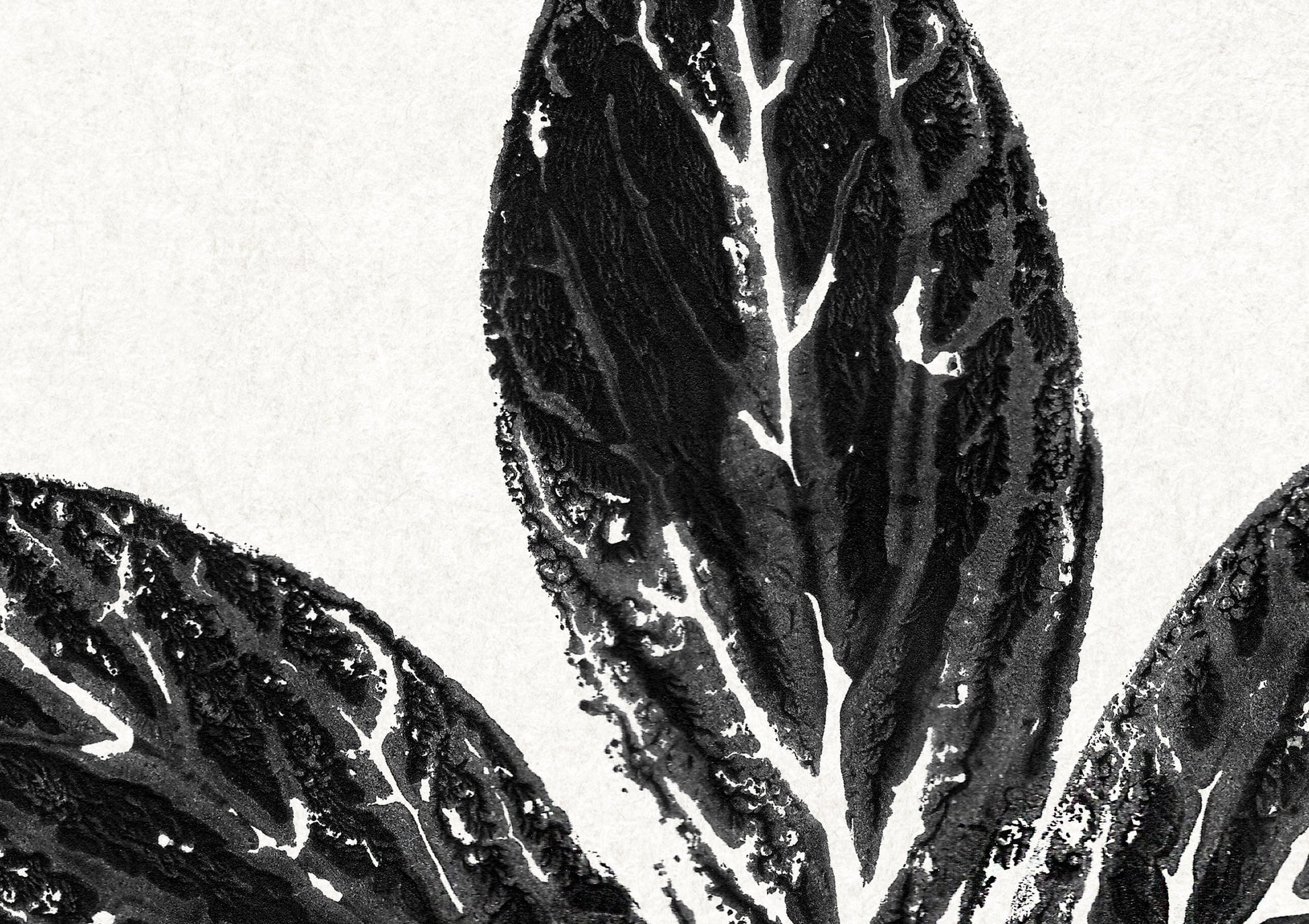 Black large monotype leaves Printable wall art Vintage classical minimalist poster Botanical prints for Farmhouse decor INSTANT DOWNLOAD Farm foraged cottagecore Bedroom Living room Kitchen Housewarming New first home gift